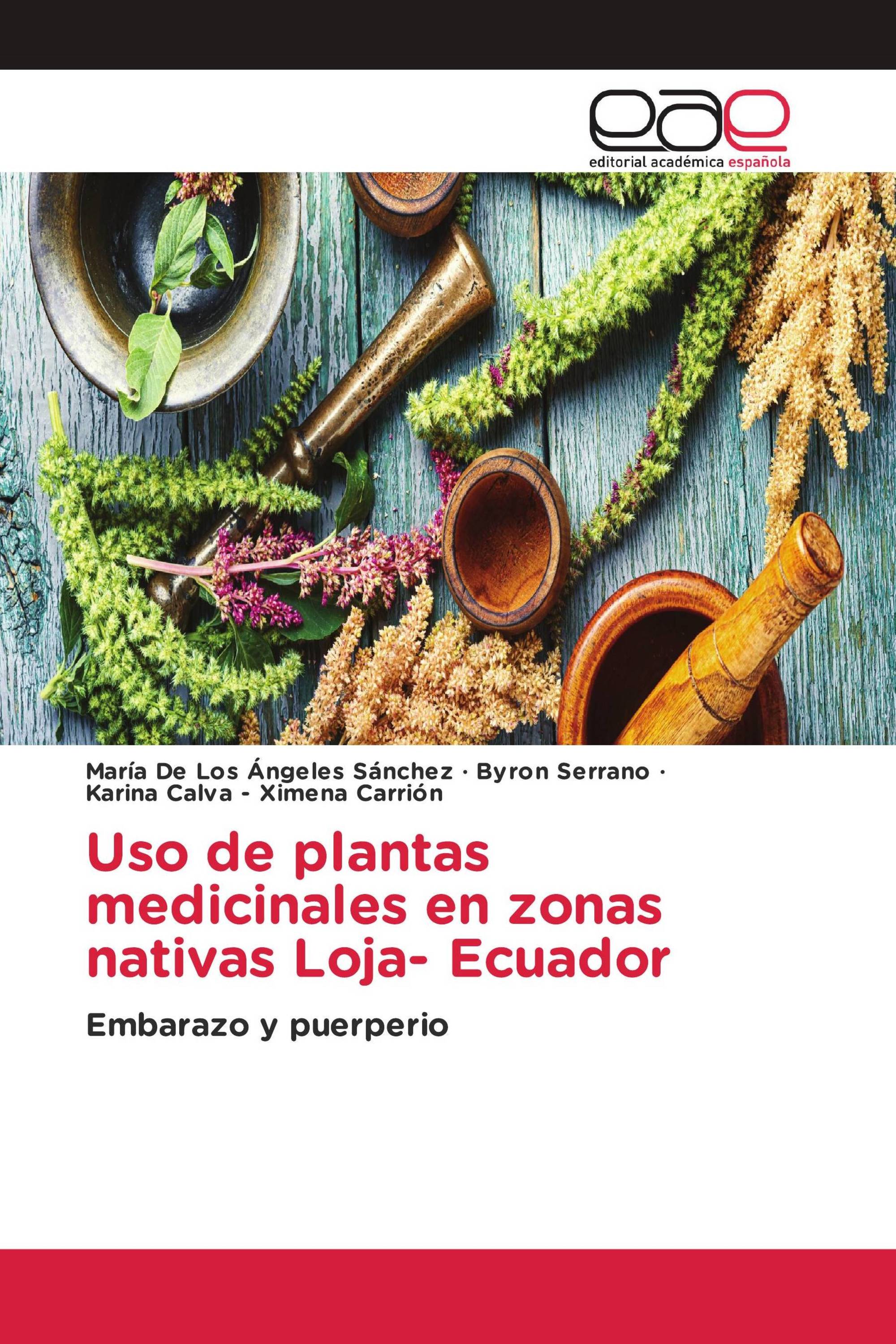 Uso De Plantas Medicinales En Zonas Nativas Loja Ecuador