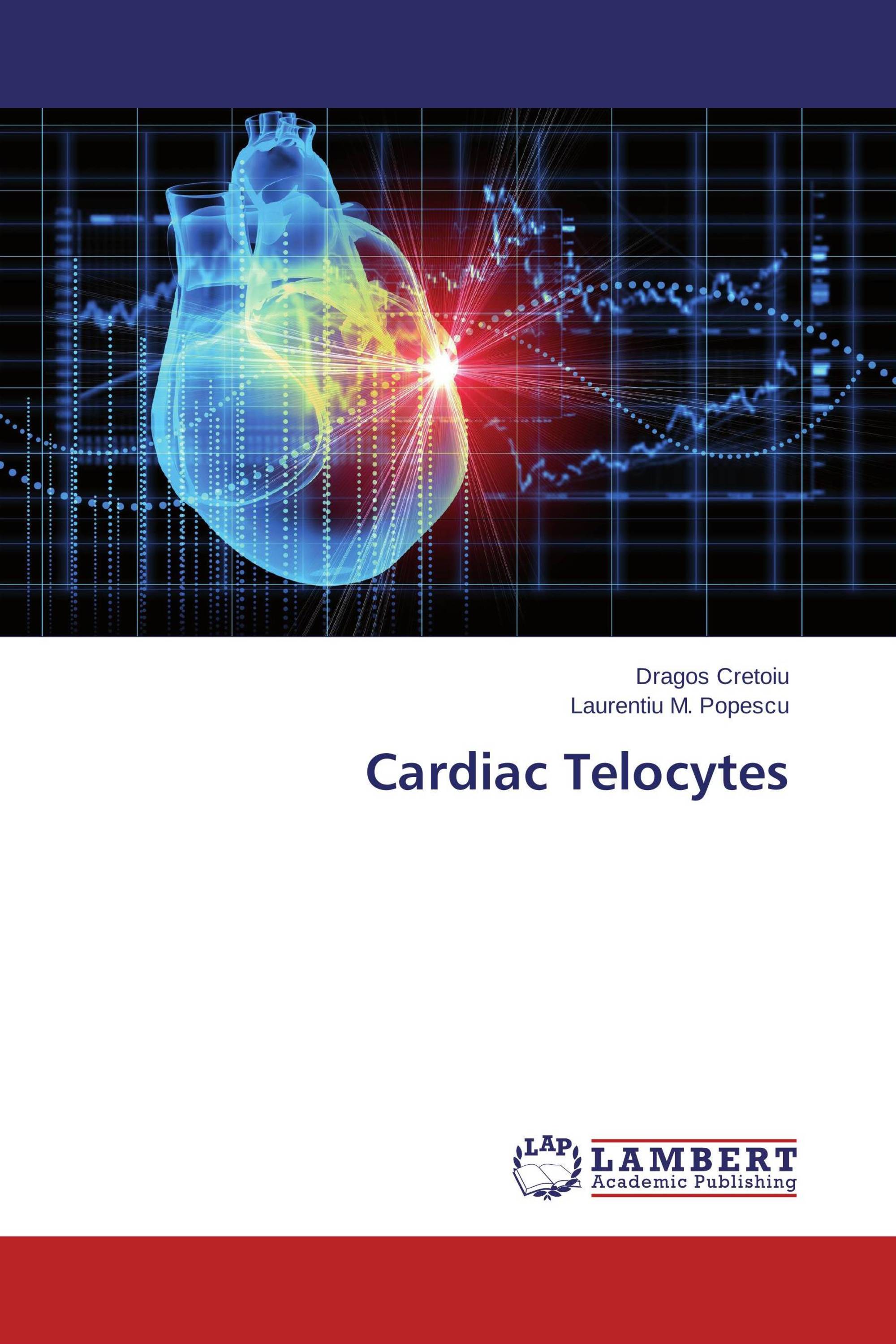 Cardiac Telocytes 978 3 659 59130 3 9783659591303 3659591300