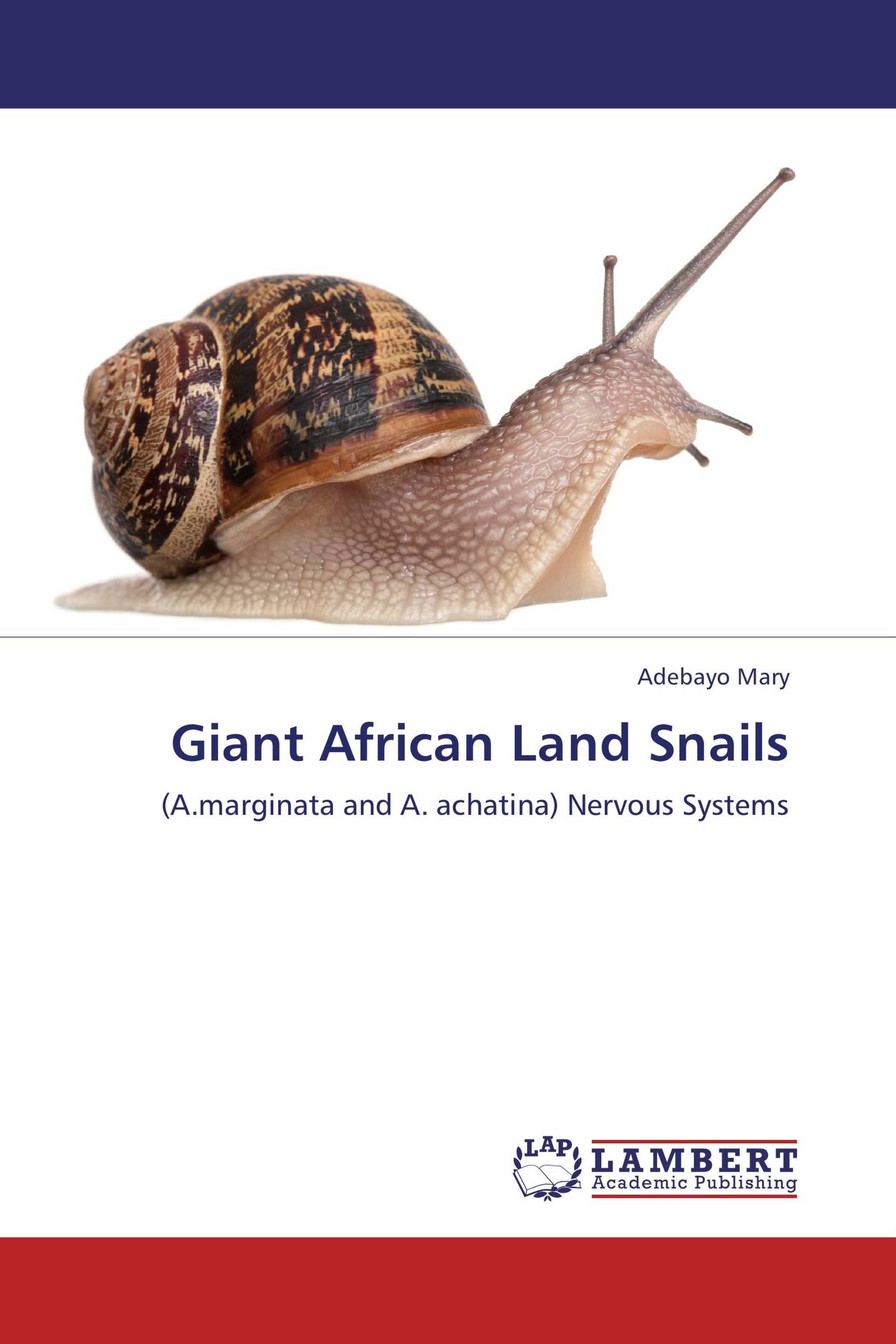 Giant African Land Snails 978 3 8473 2890 2 9783847328902 3847328905