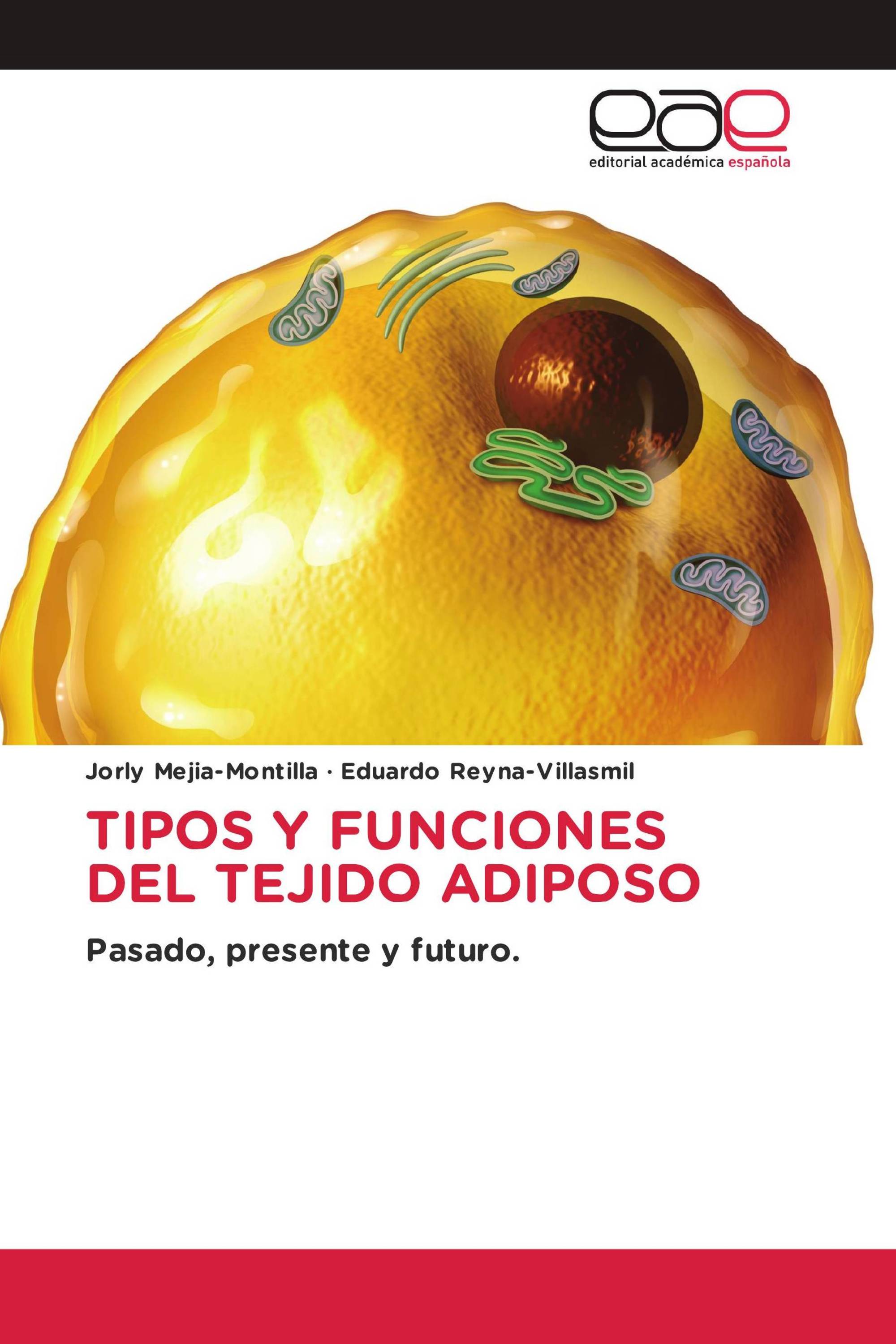 Tipos Y Funciones Del Tejido Adiposo