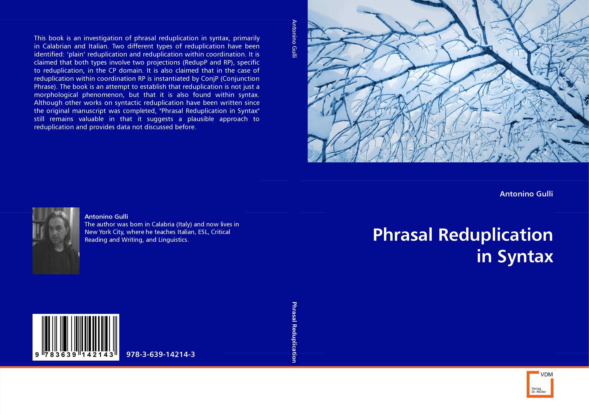phrasal reduplication in syntax的封面