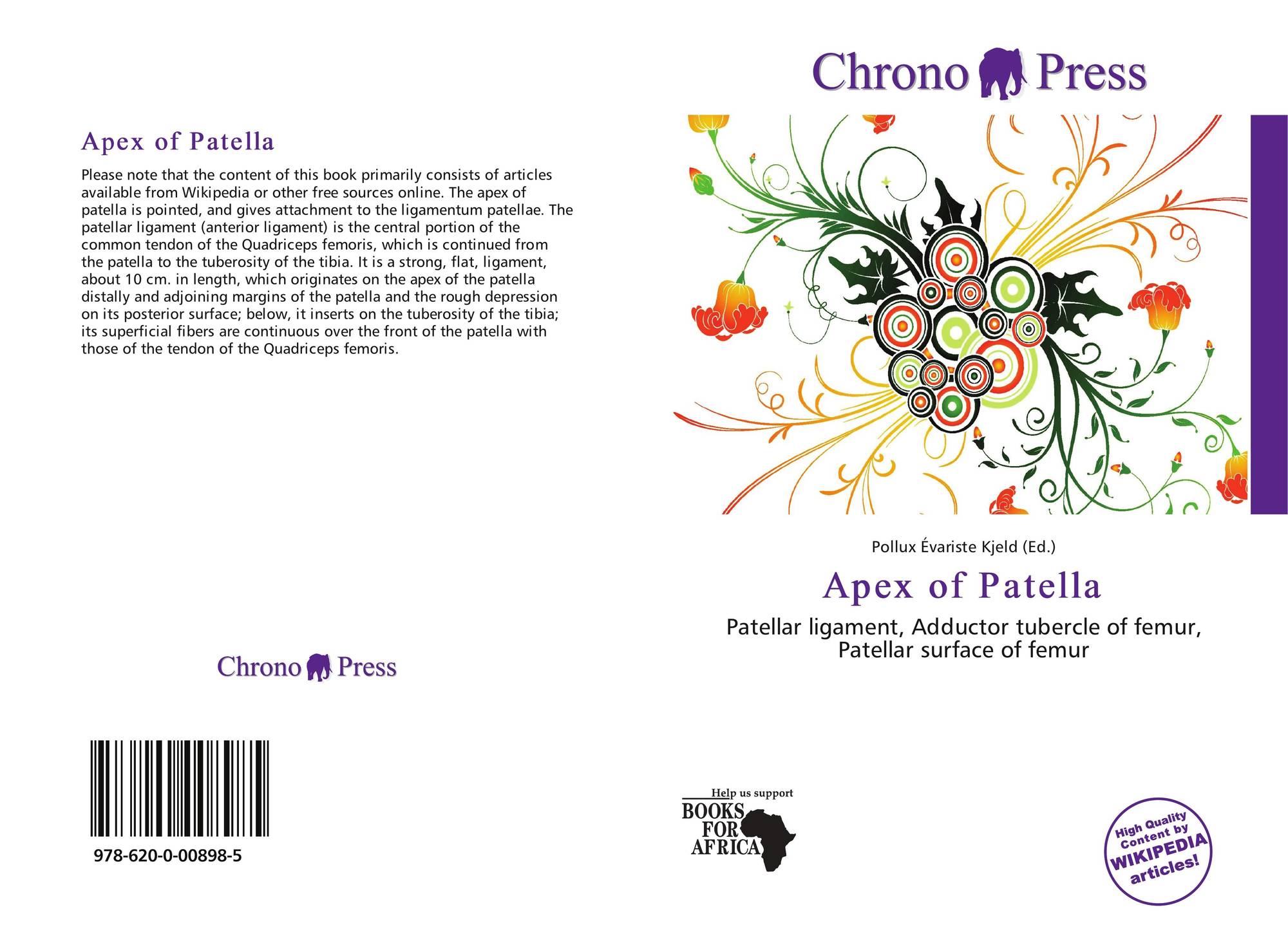 apex of patella的封面
