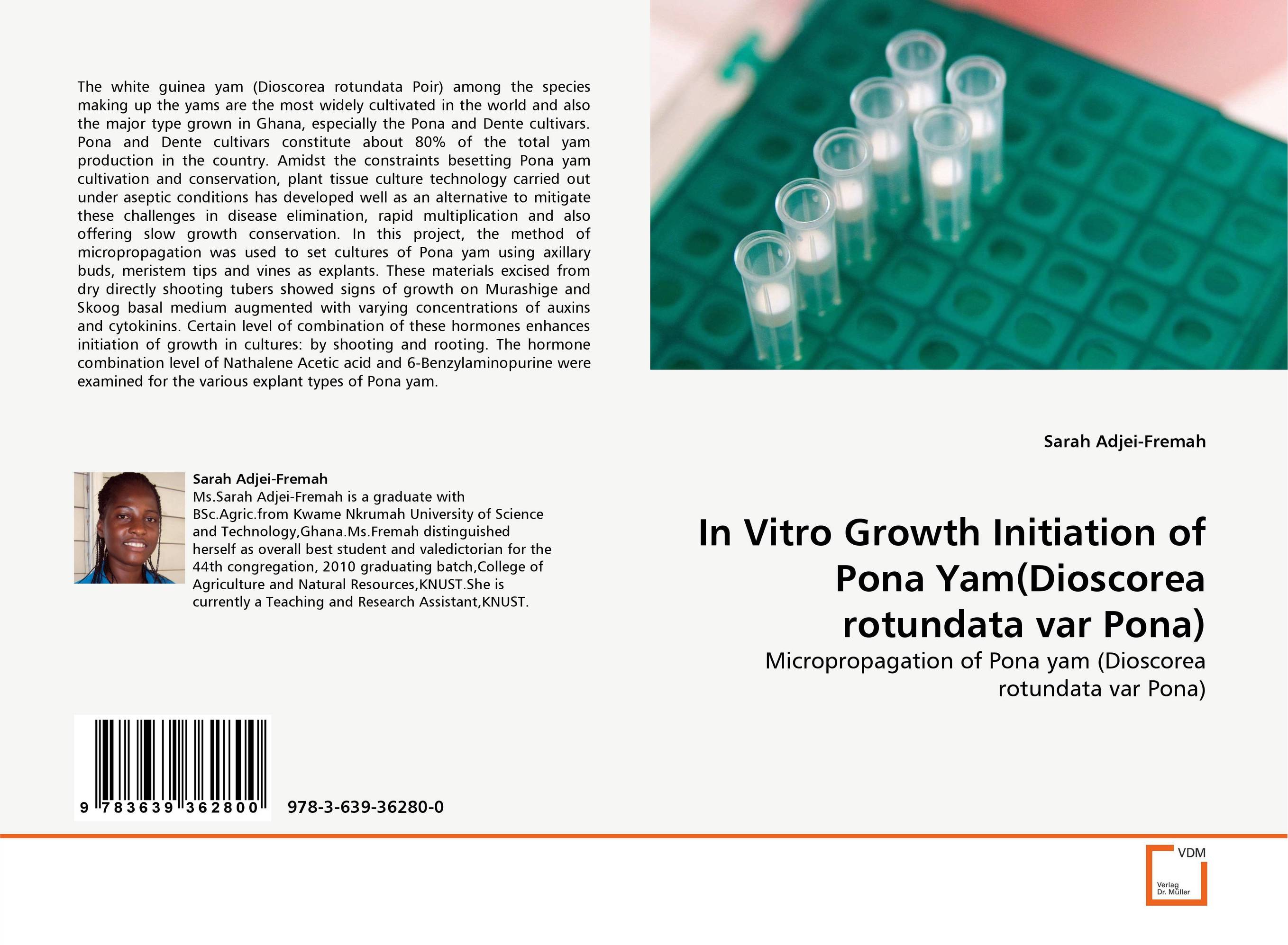 In Vitro Growth Initiation of Pona Yam(Dioscorea rotundata var Pona). Micropropagation of Pona yam (Dioscorea rotundata var Pona).