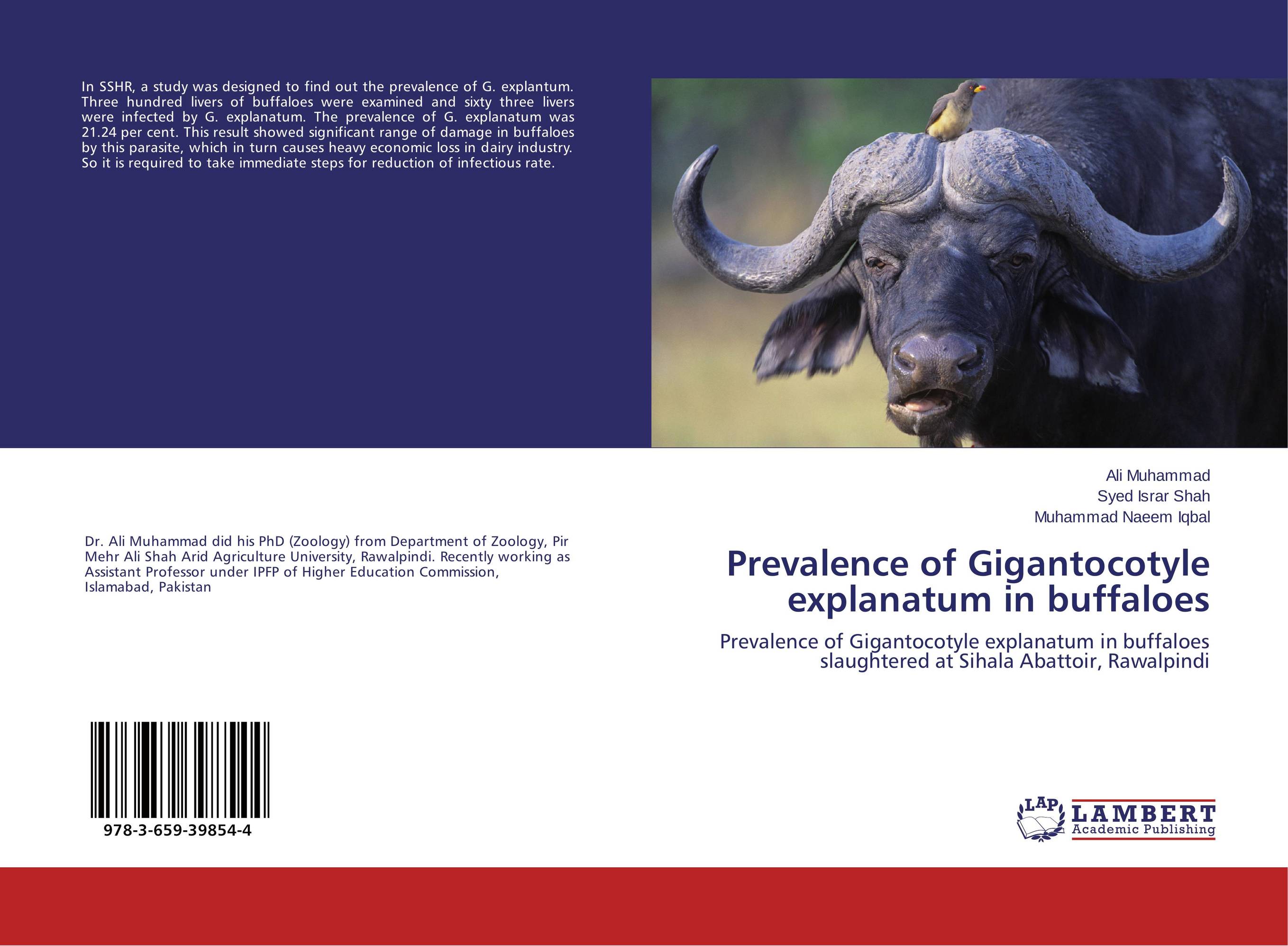 Prevalence of Gigantocotyle explanatum in buffaloes. Prevalence of Gigantocotyle explanatum in buffaloes slaughtered at Sihala Abattoir, Rawalpindi.