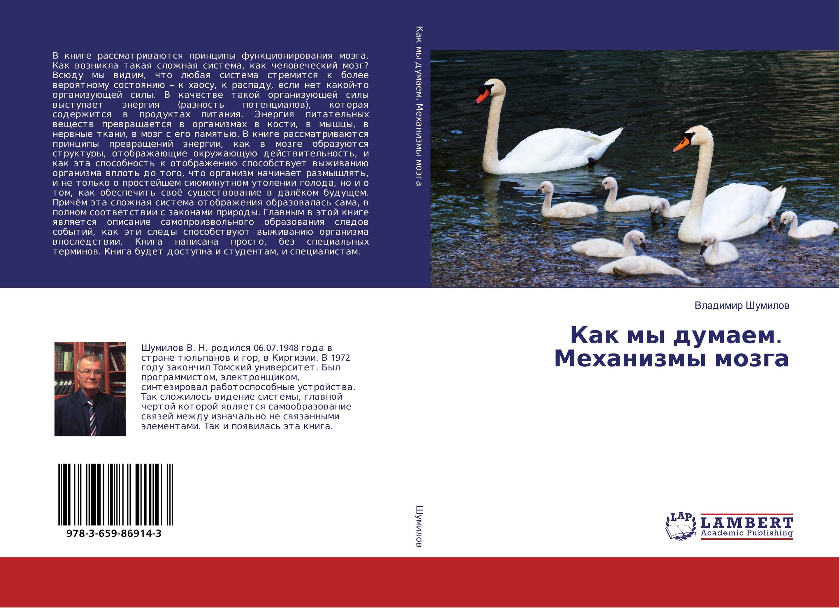 Как мы думаем. Механизмы мозга..