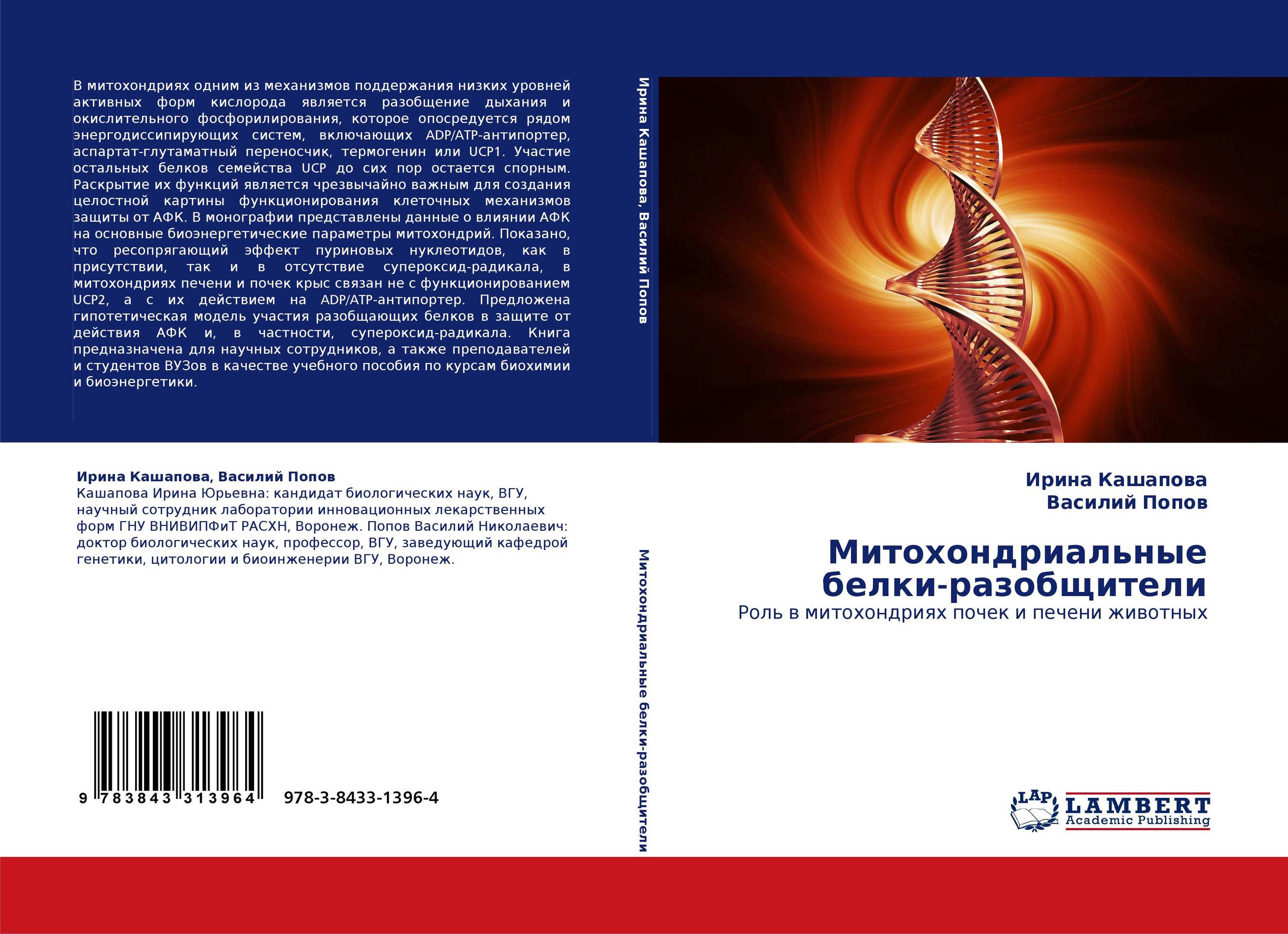 Митохондриальные белки-разобщители. Роль в митохондриях почек и печени животных.