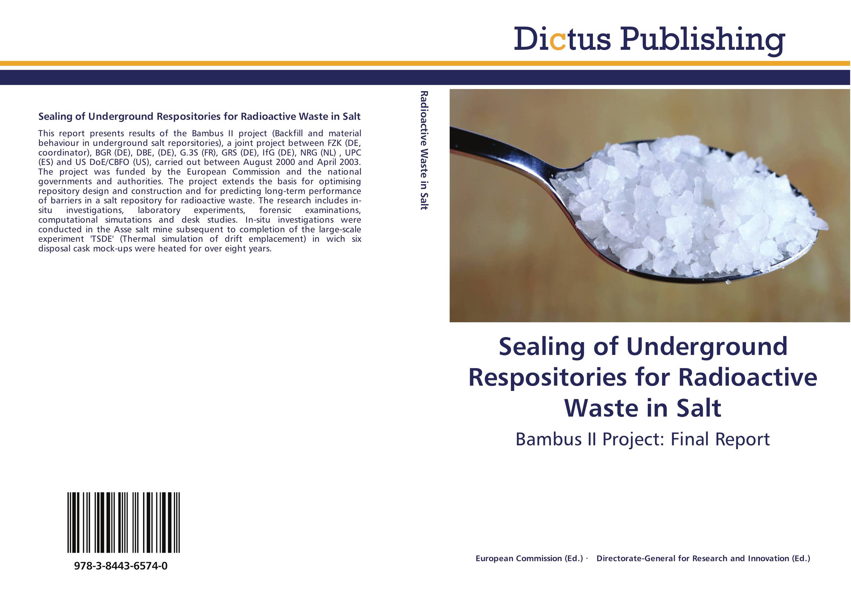 Sealing of Underground Respositories for Radioactive Waste in Salt. Bambus II Project: Final Report.