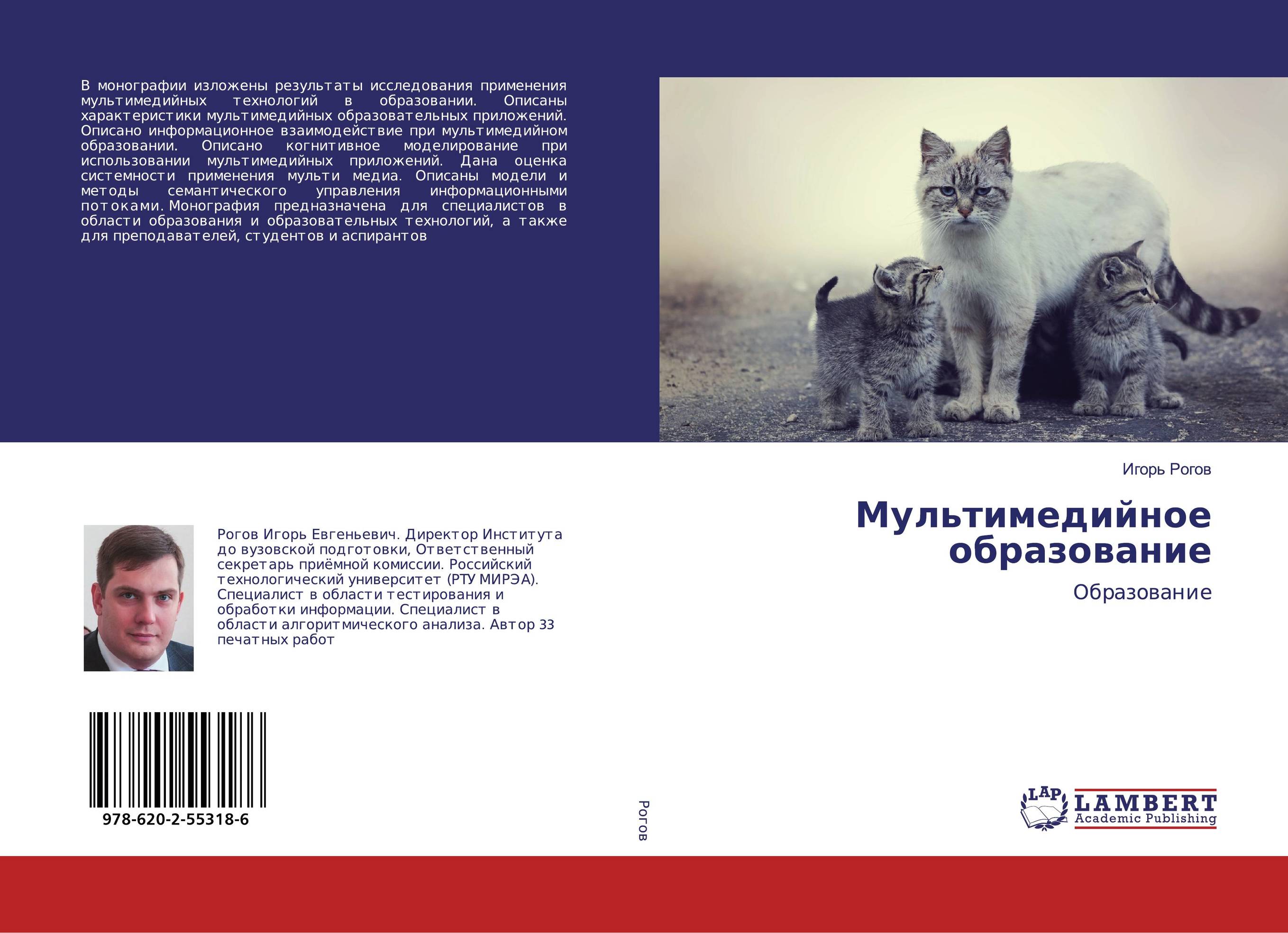 Мультимедийное образование. Образование.