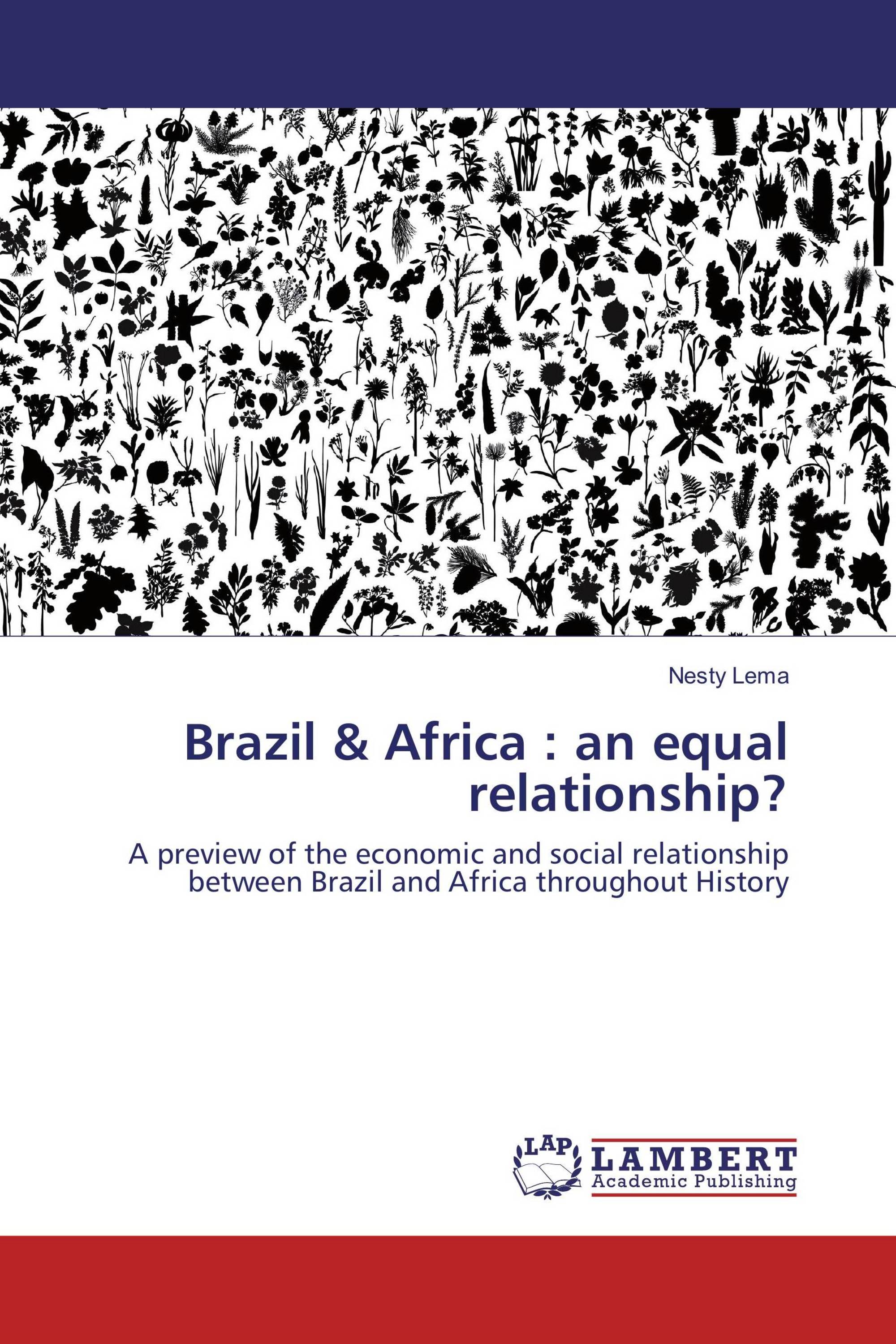 Brazil & Africa : an equal relationship?