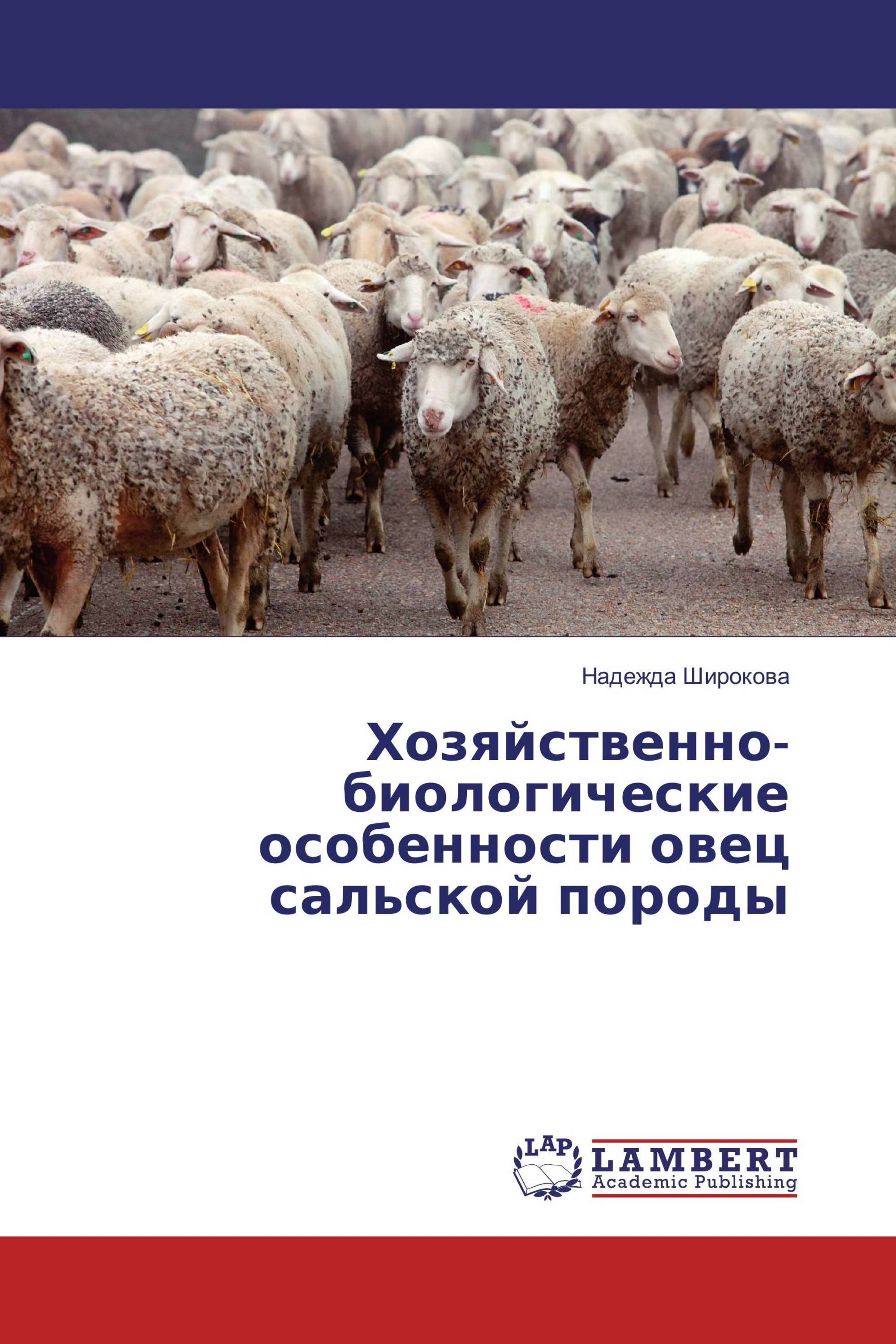 Хозяйственно-биологические особенности овец сальской породы