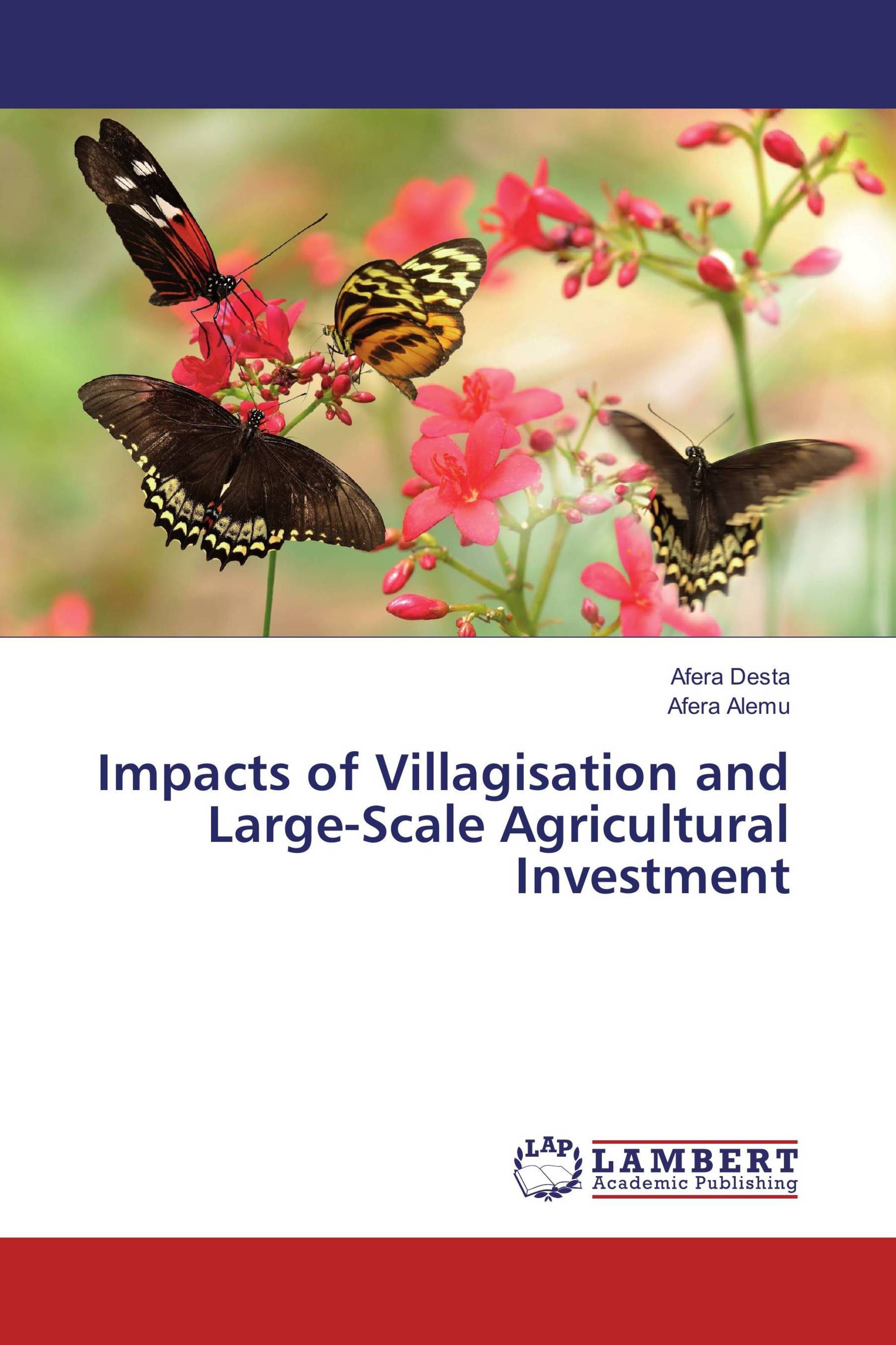 Impacts of Villagisation and Large-Scale Agricultural Investment