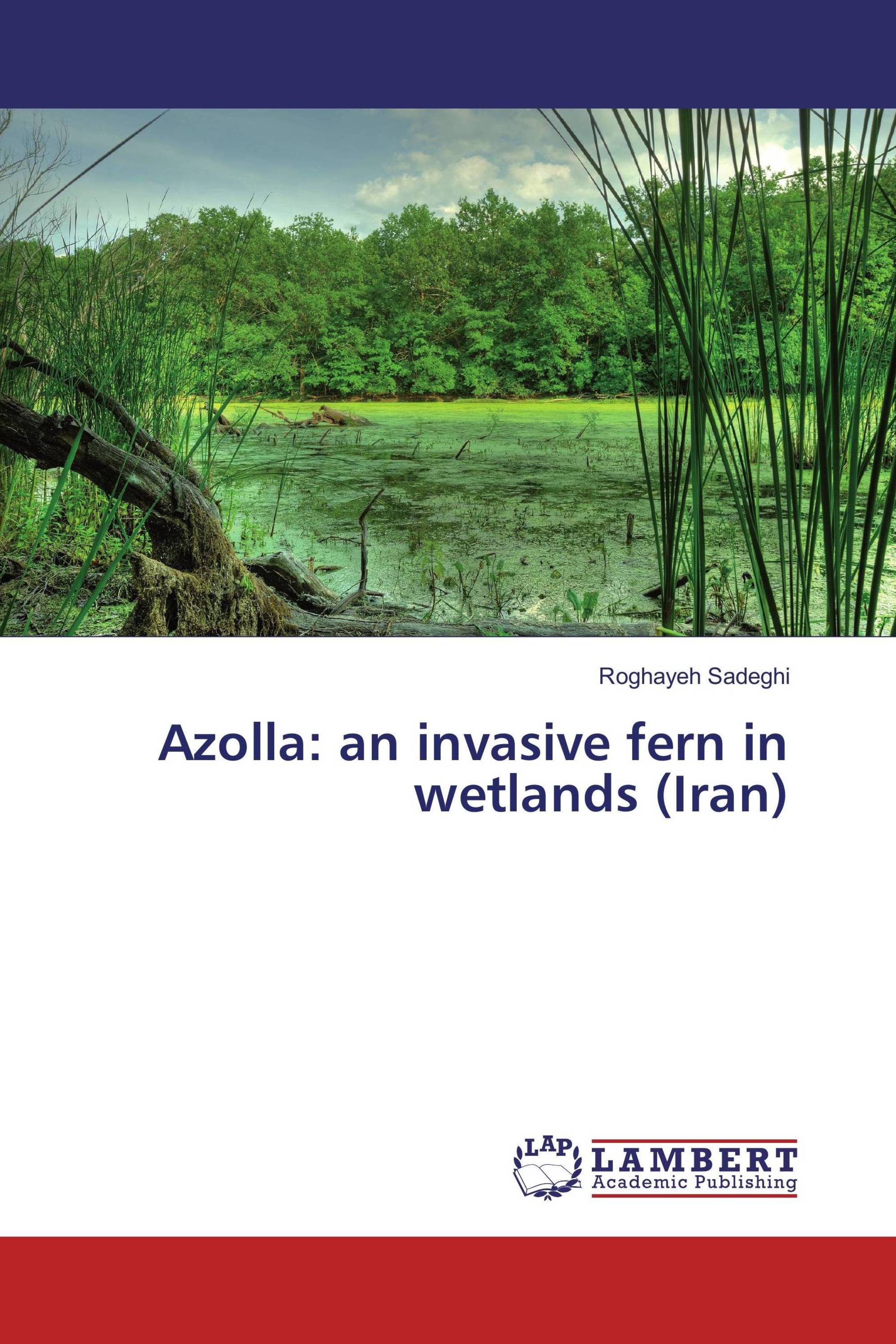 Azolla: an invasive fern in wetlands (Iran)