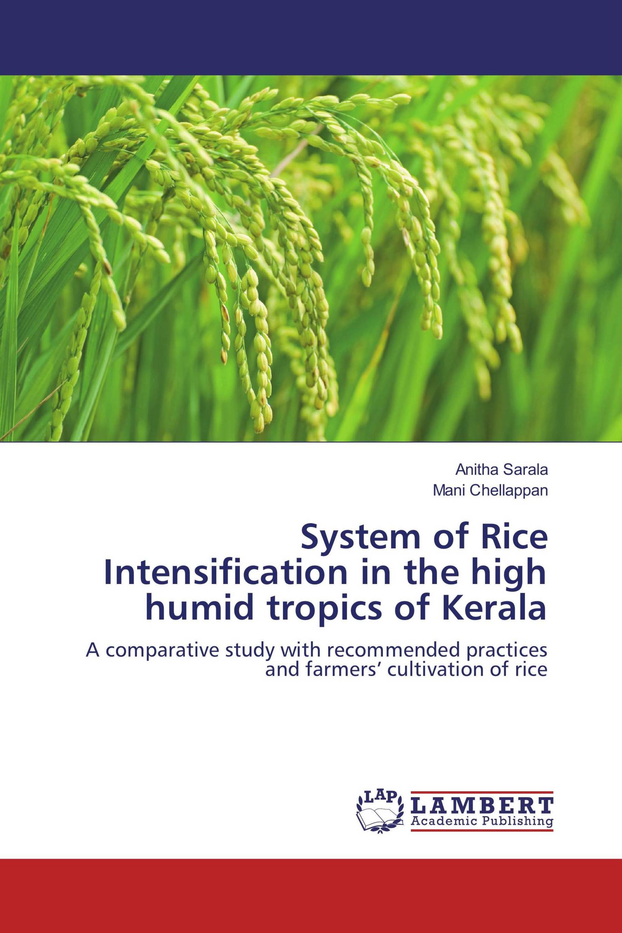 System of Rice Intensification in the high humid tropics of Kerala