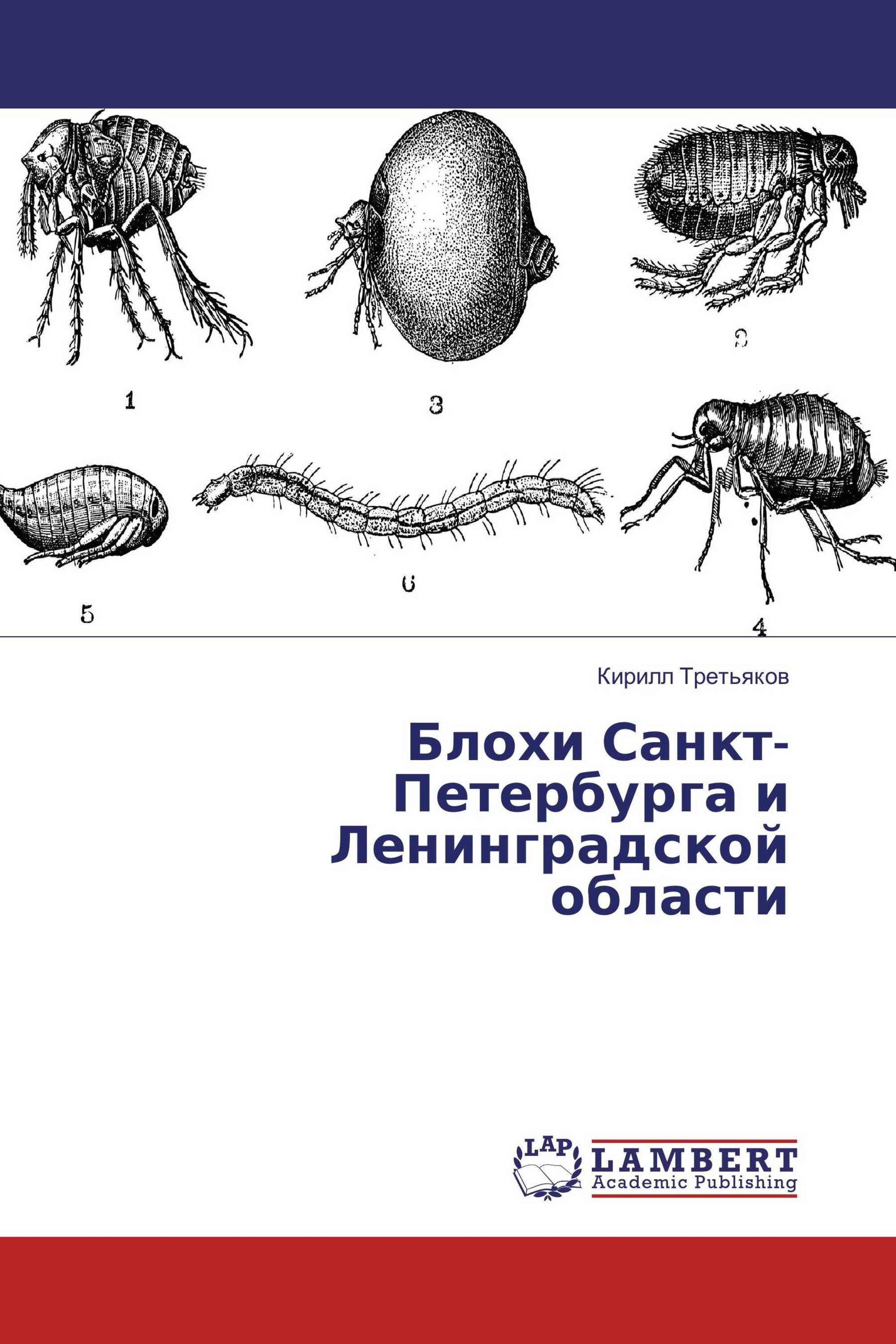 Блохи Санкт-Петербурга и Ленинградской области