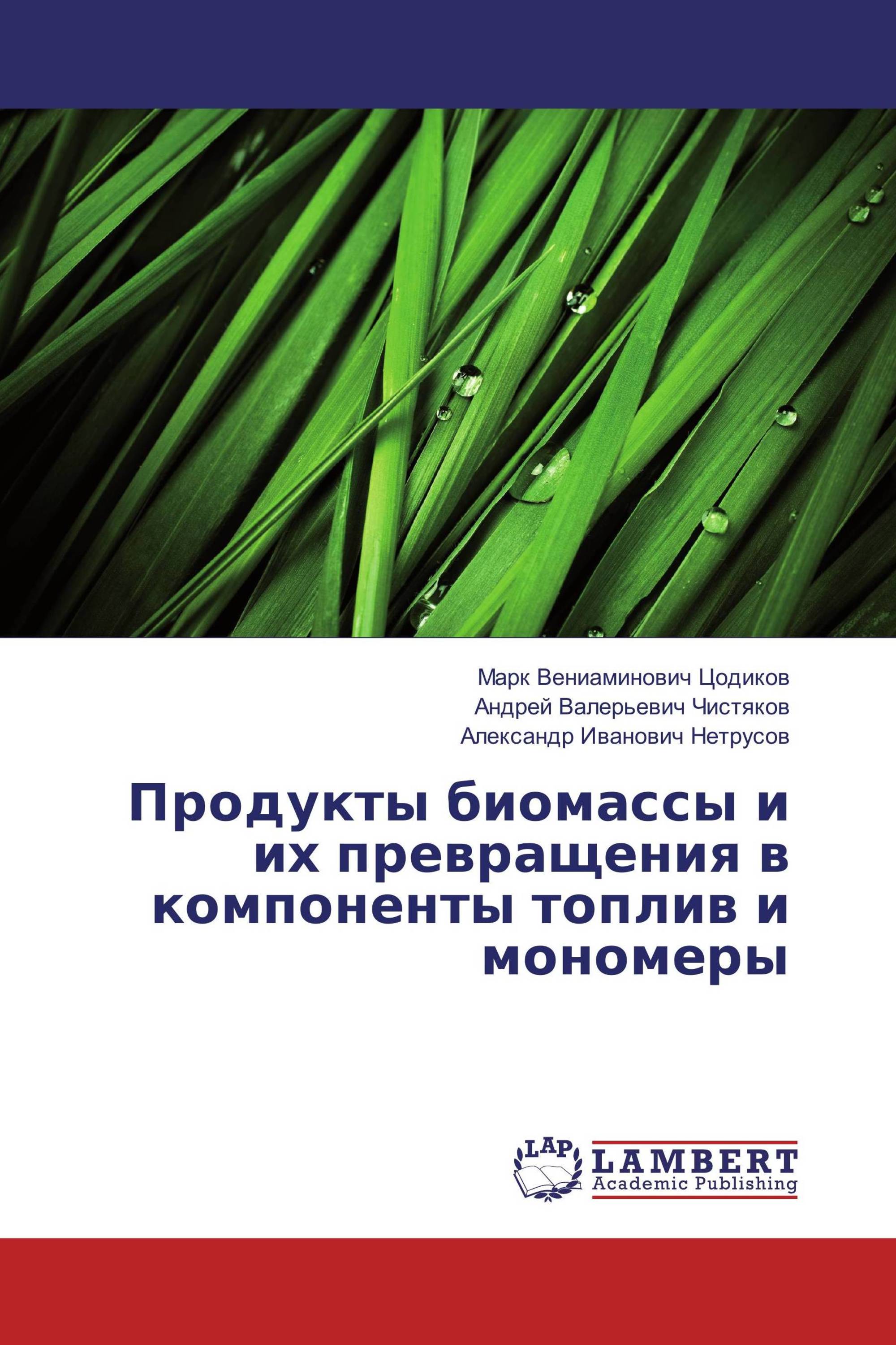 Продукты биомассы и их превращения в компоненты топлив и мономеры