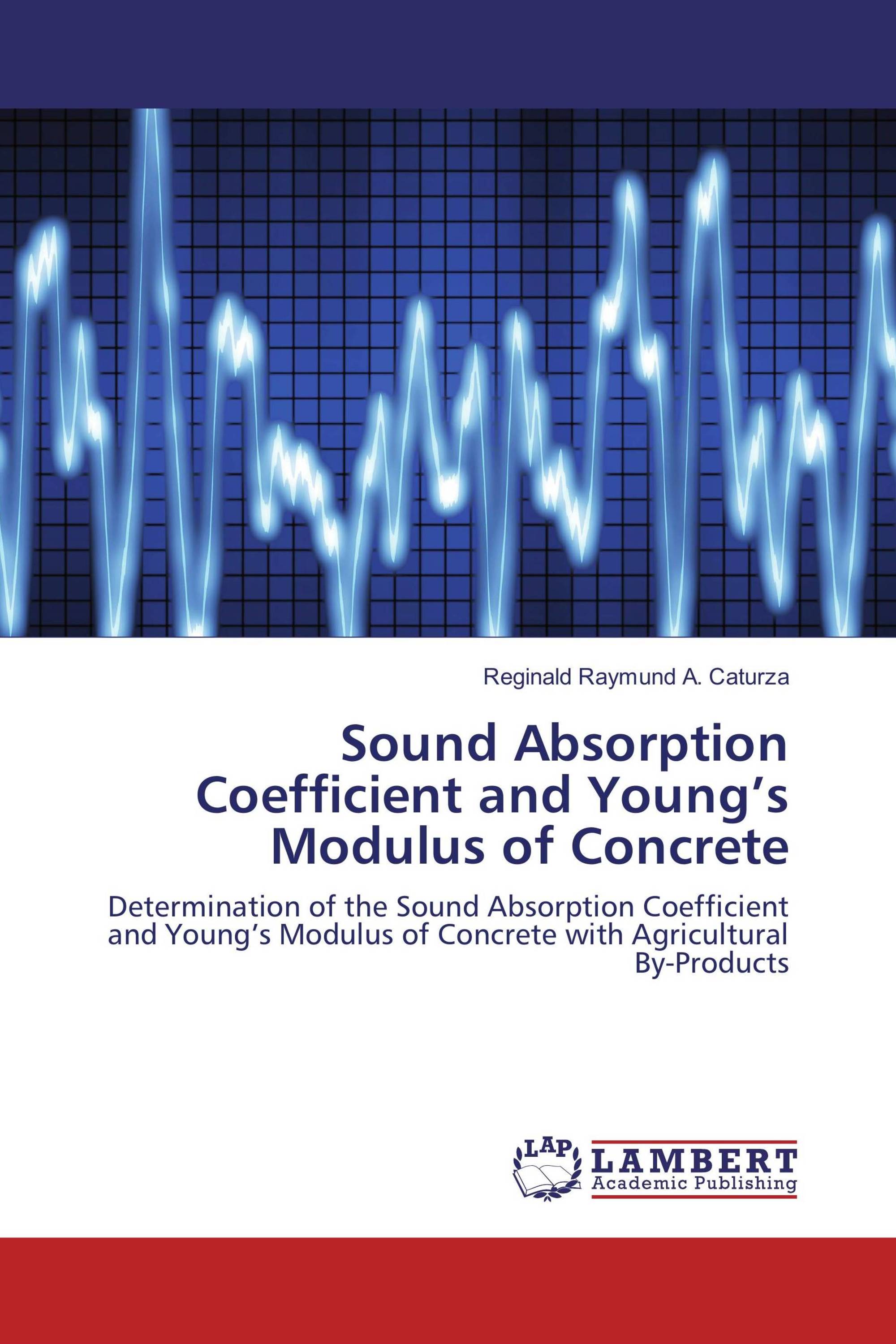 Sound Absorption Coefficient and Young’s Modulus of Concrete