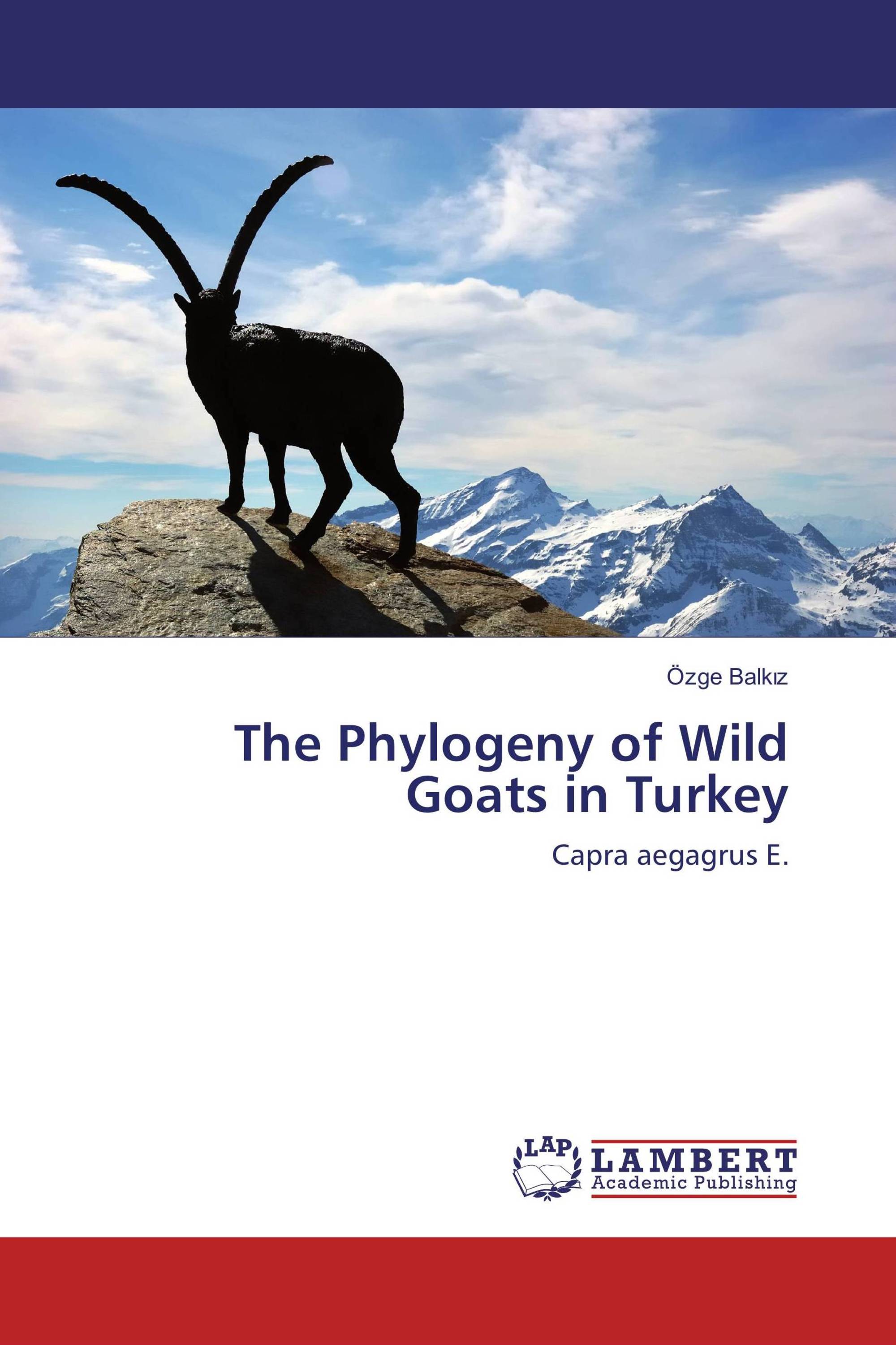 The Phylogeny of Wild Goats in Turkey