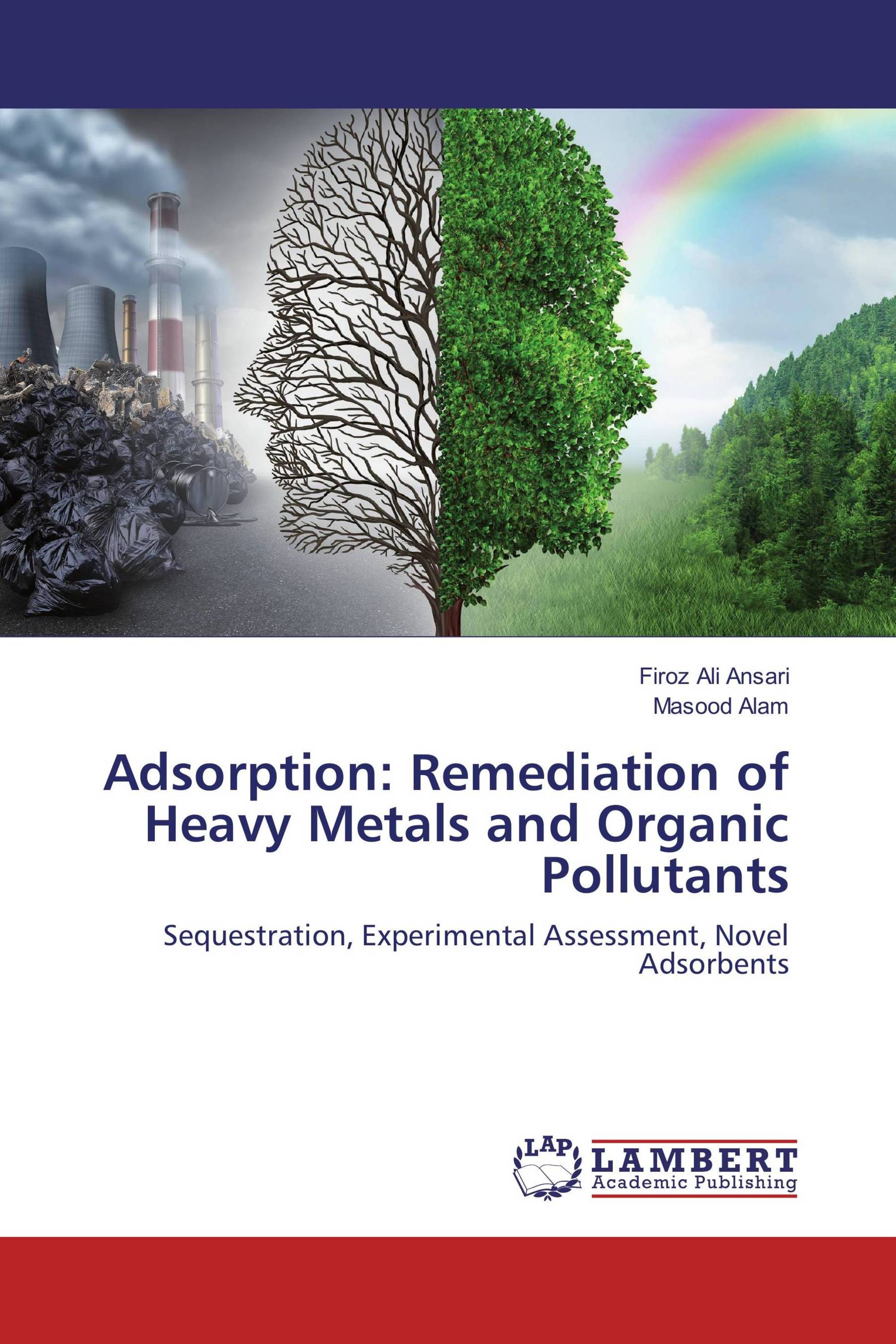 Adsorption: Remediation of Heavy Metals and Organic Pollutants