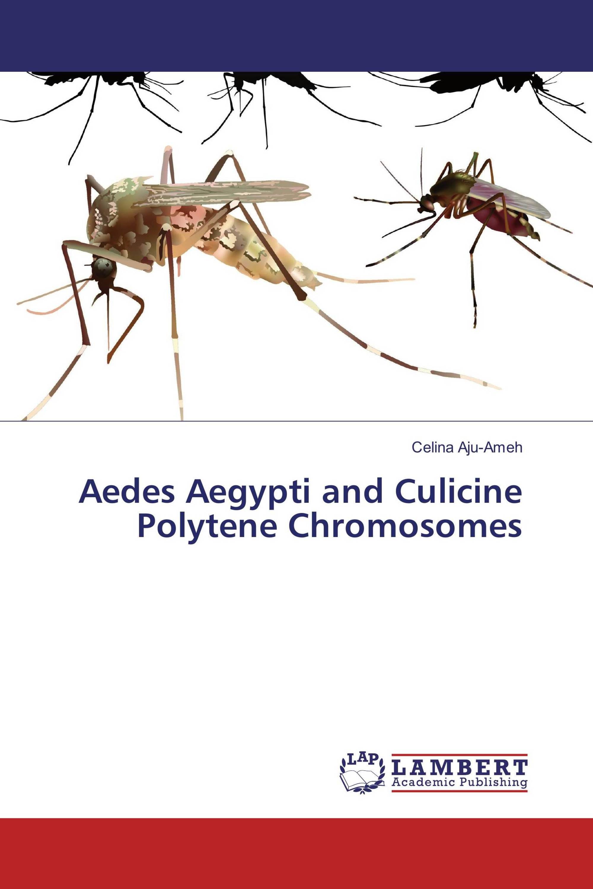 an analysis of aedies aegypti The mosquito aedes aegypti has long been a vector for human illness in the southeastern united states in the past, it has been responsible for outbreaks of dengue, chikungunya, and yellow fever and, very recently, the. an analysis of aedies aegypti The mosquito aedes aegypti has long been a vector for human illness in the southeastern united states in the past, it has been responsible for outbreaks of dengue, chikungunya, and yellow fever and, very recently, the.
