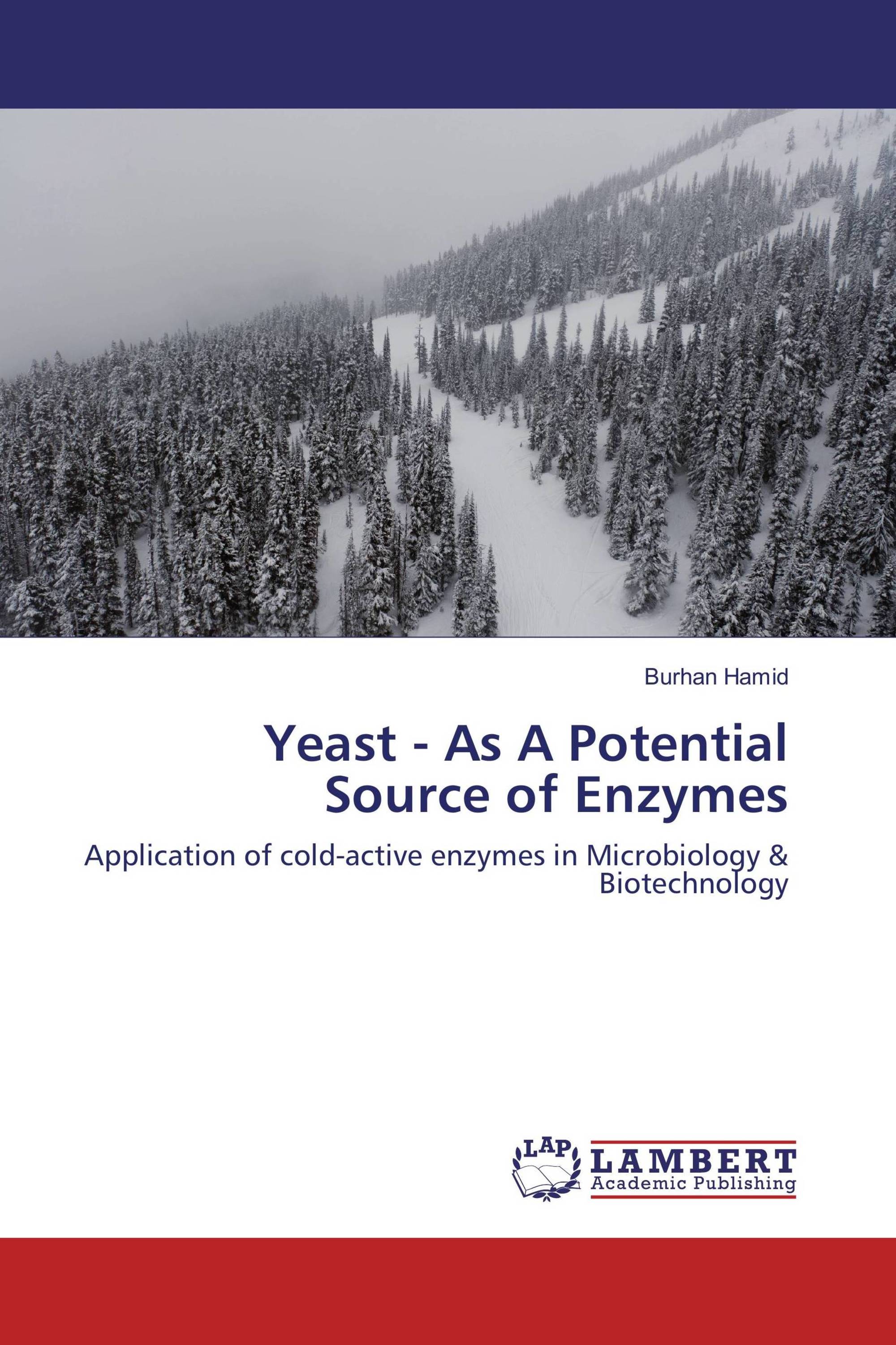 Yeast - As A Potential Source of Enzymes