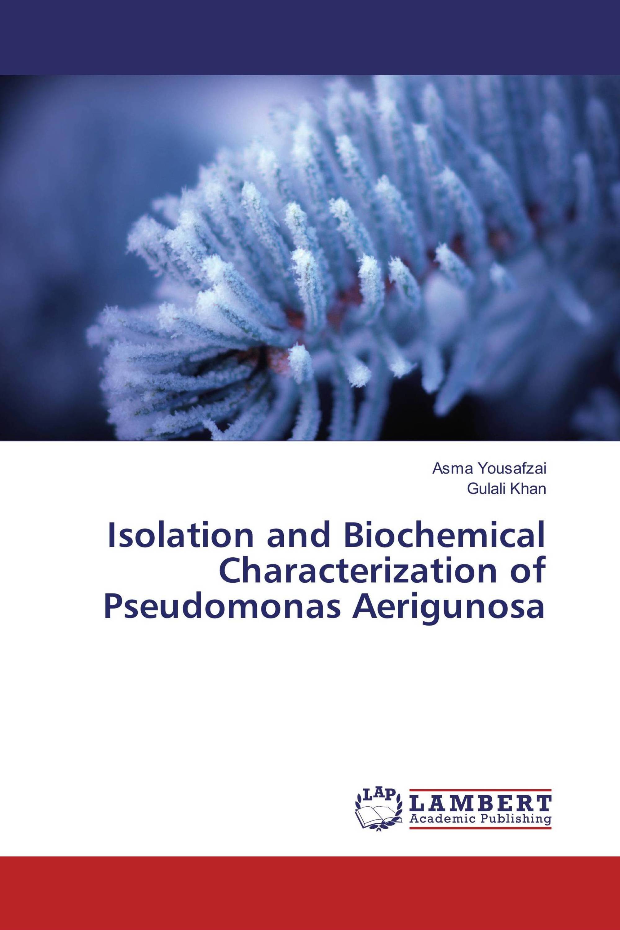 Isolation and Biochemical Characterization of Pseudomonas Aerigunosa