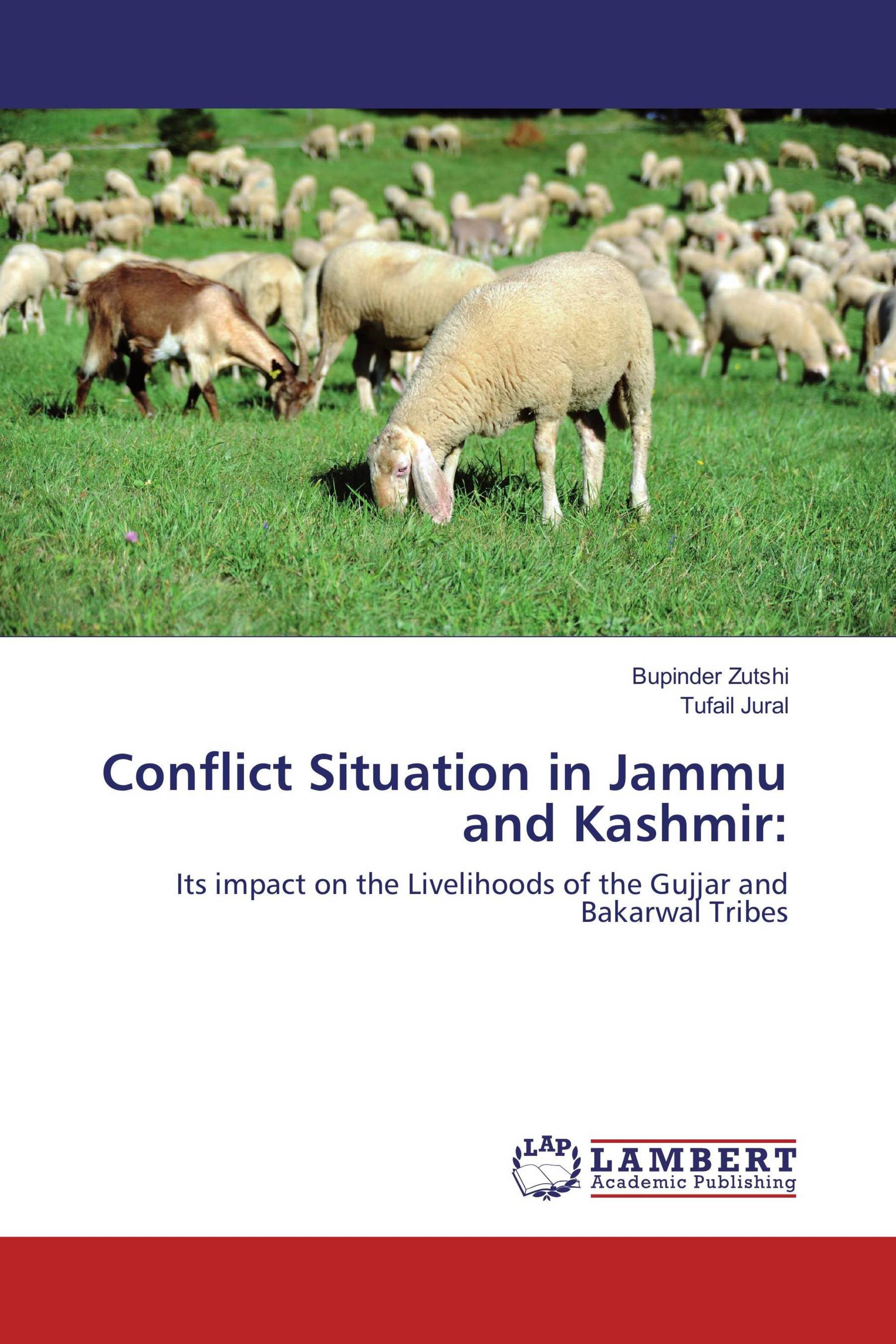 Conflict Situation in Jammu and Kashmir: