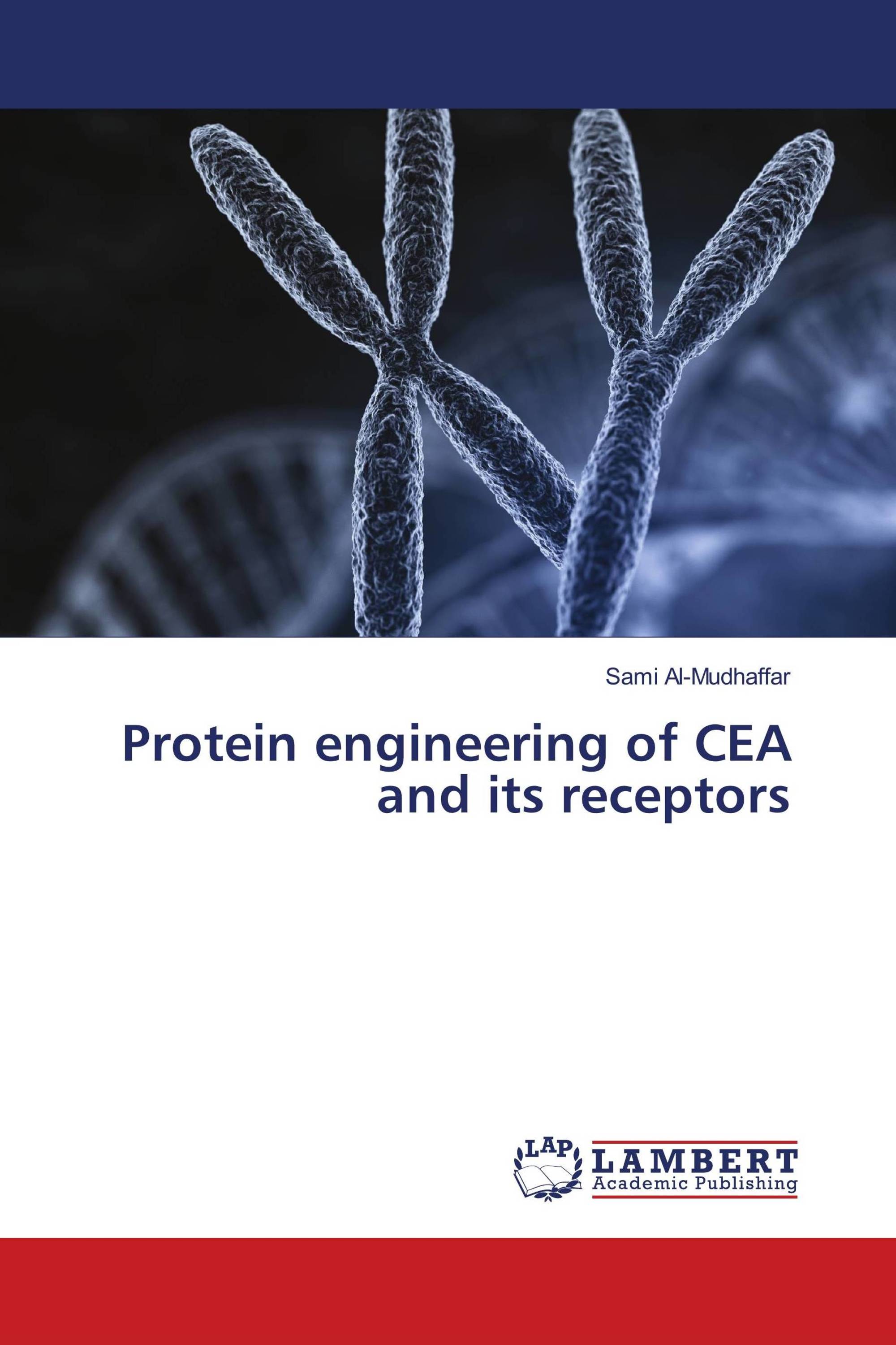 Protein engineering of CEA and its receptors