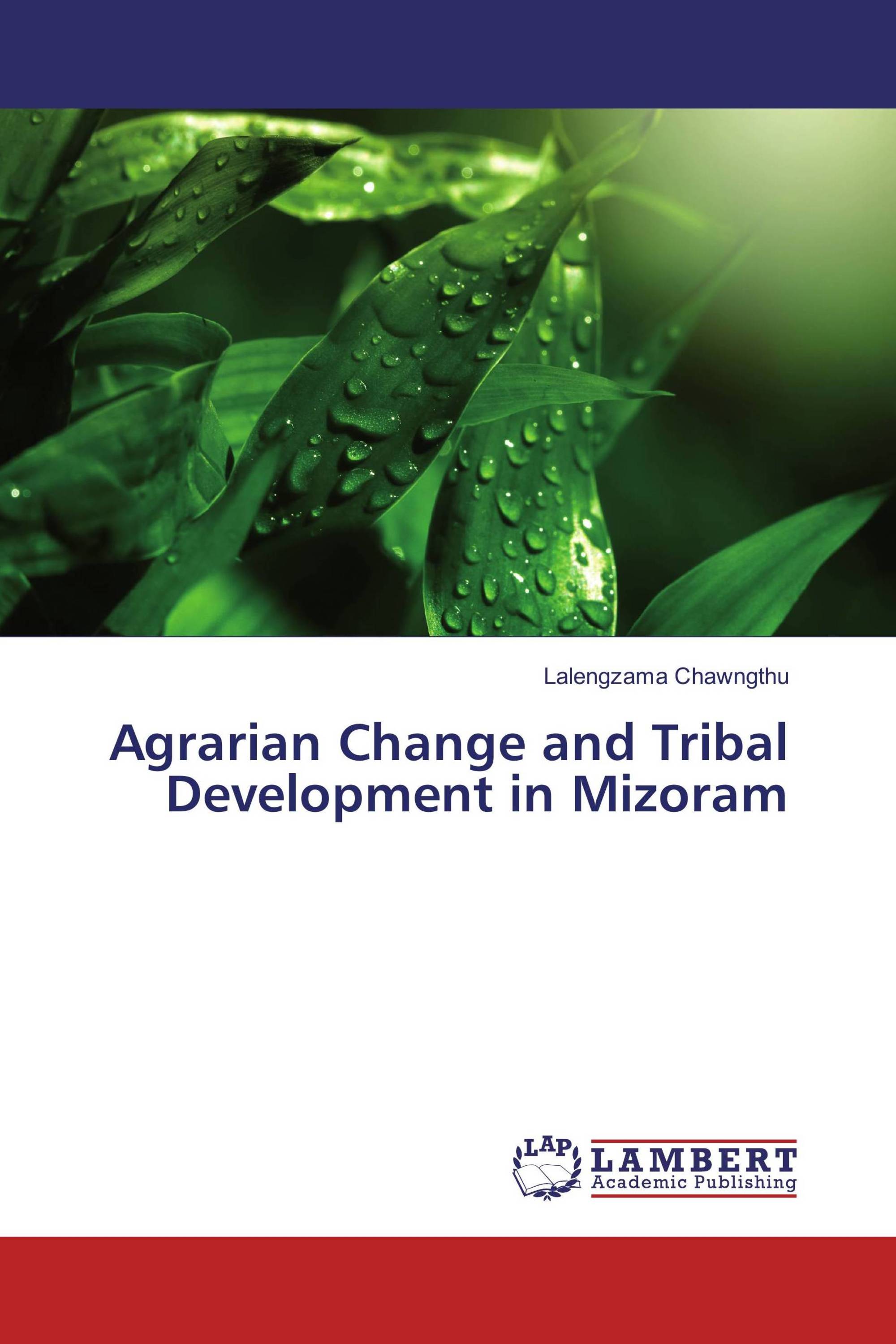 Agrarian Change and Tribal Development in Mizoram