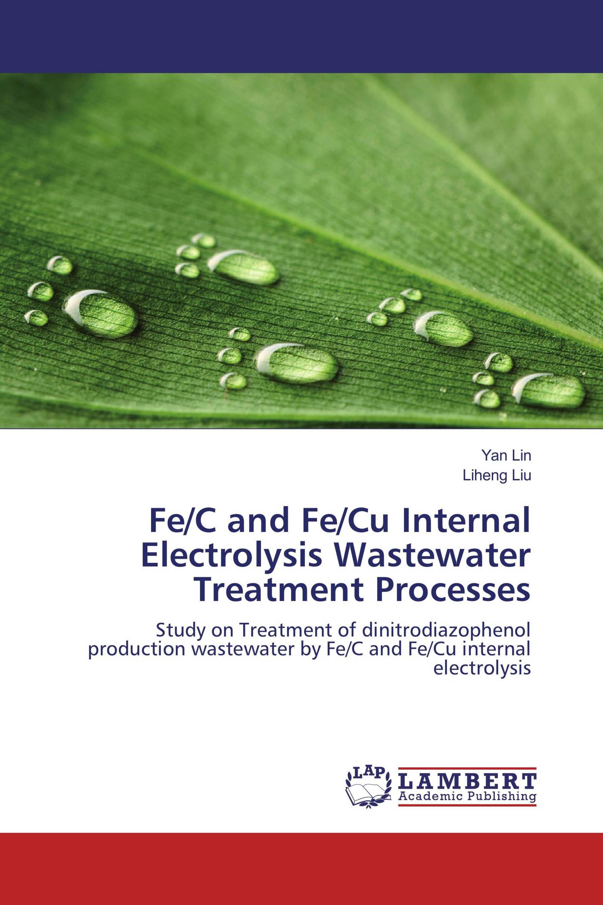 Fe/C and Fe/Cu Internal Electrolysis Wastewater Treatment Processes
