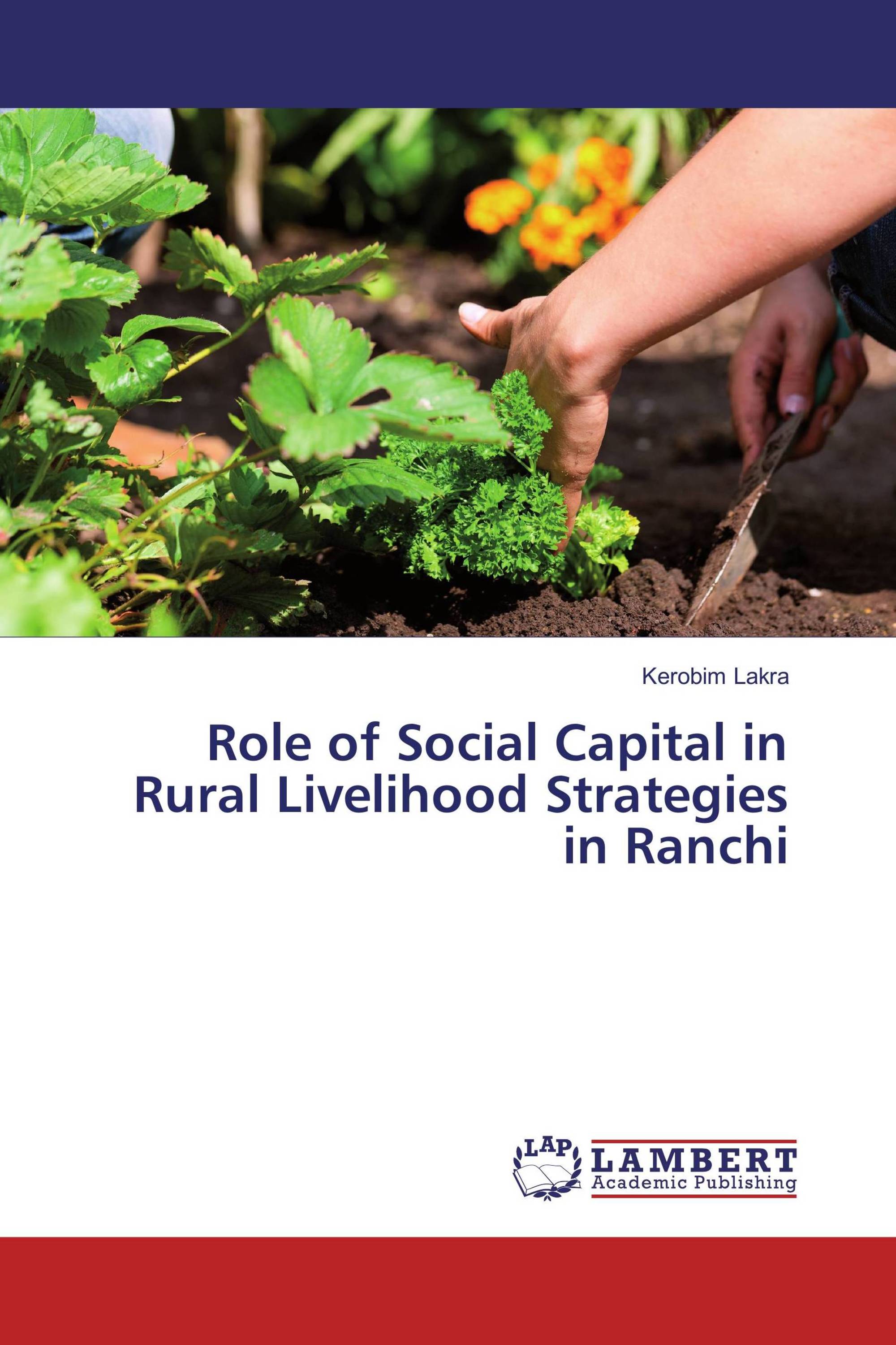 Role of Social Capital in Rural Livelihood Strategies in Ranchi / 978-3 ...