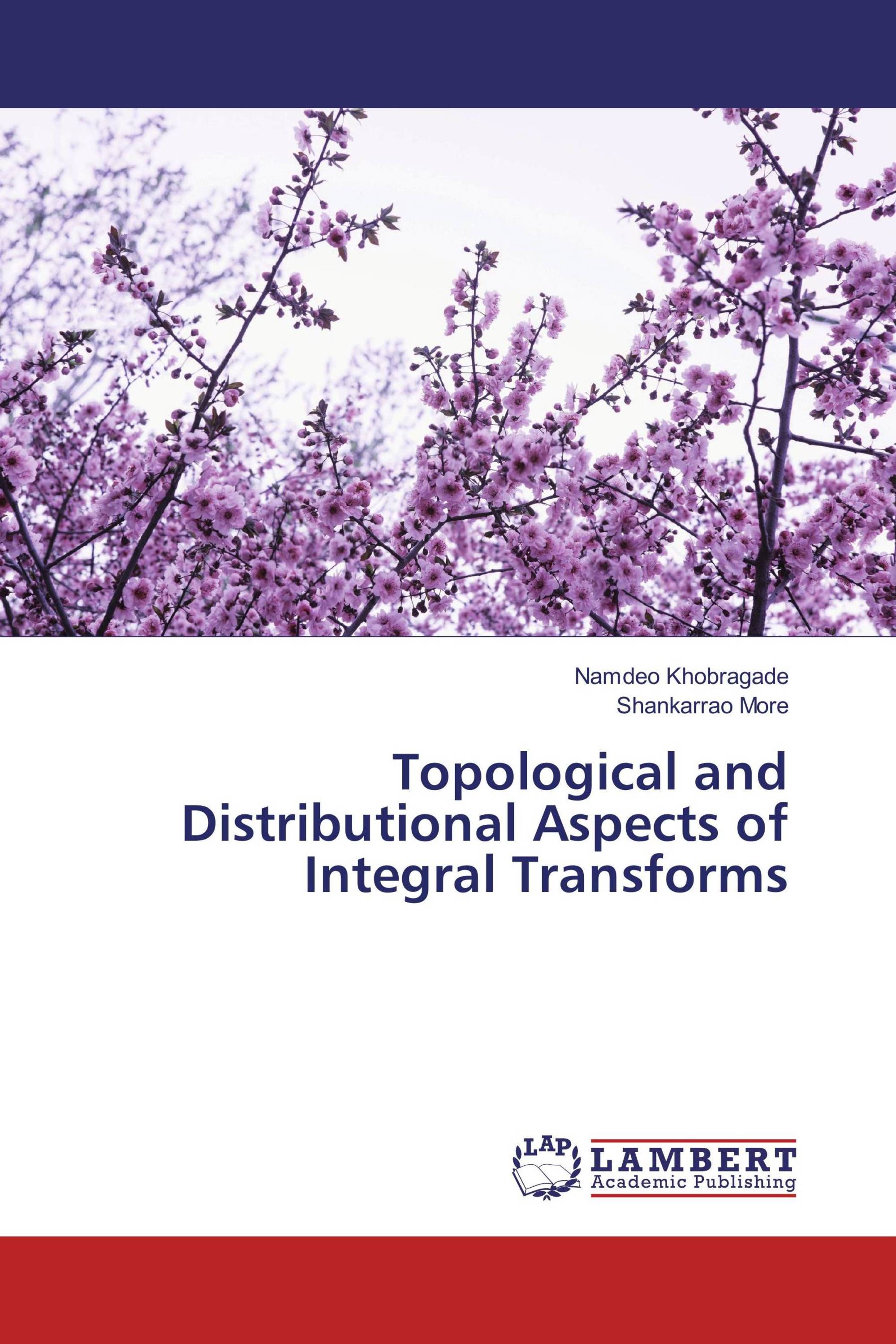 Topological and Distributional Aspects of Integral Transforms