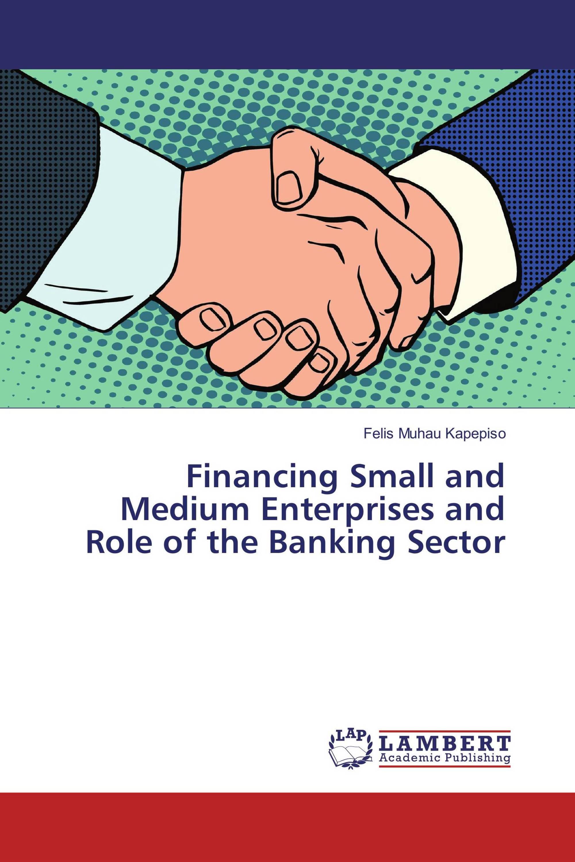 Financing Small and Medium Enterprises and Role of the Banking Sector