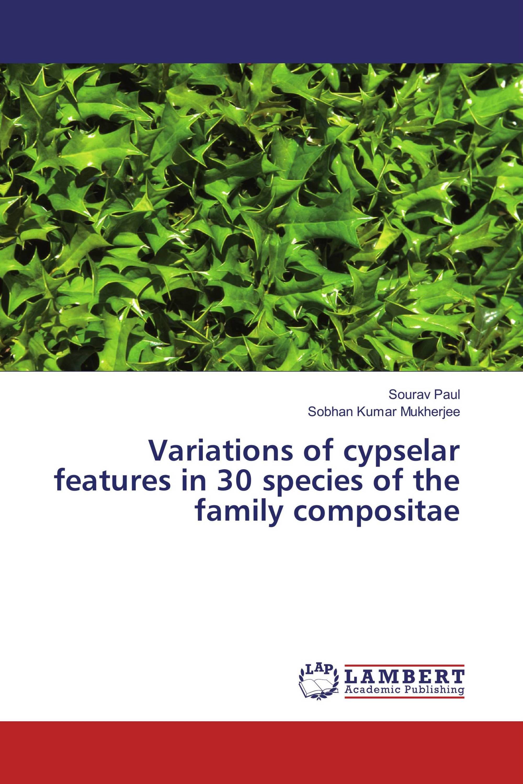 Variations of cypselar features in 30 species of the family compositae