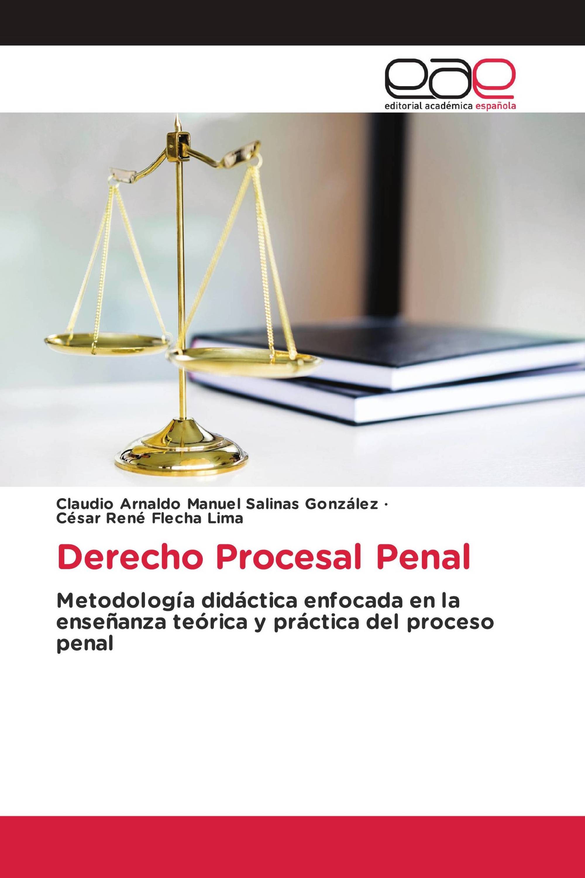 Derecho Procesal Penal 978 3 330 09256 3 9783330092563 3330092564 6399