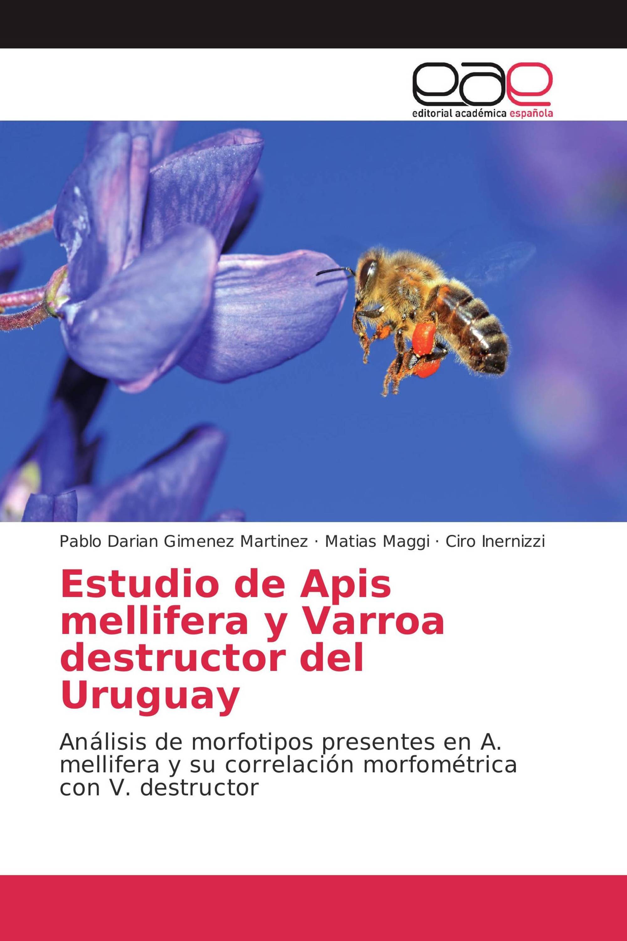 Estudio de Apis mellifera y Varroa destructor del Uruguay