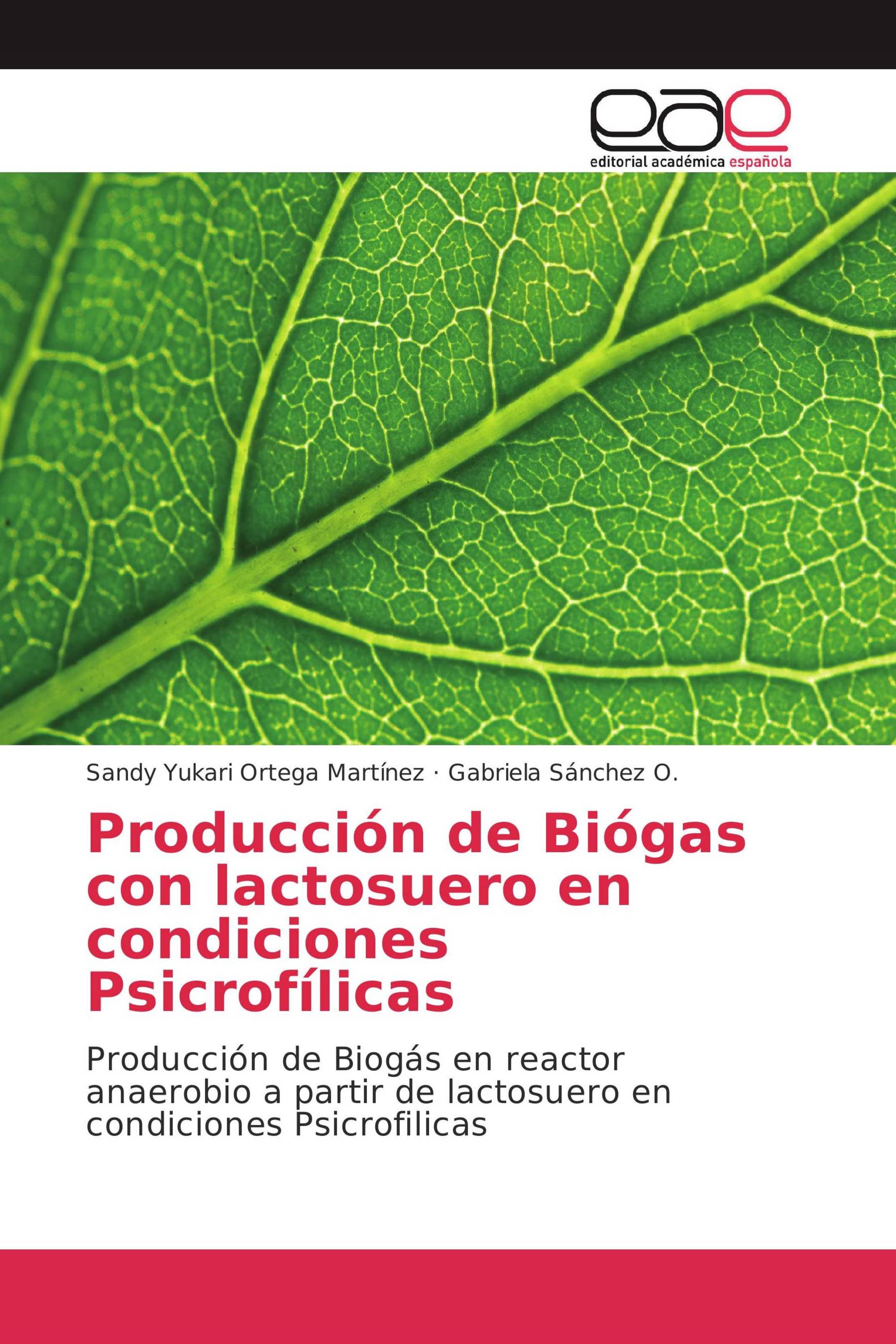 Producción de Biógas con lactosuero en condiciones Psicrofílicas