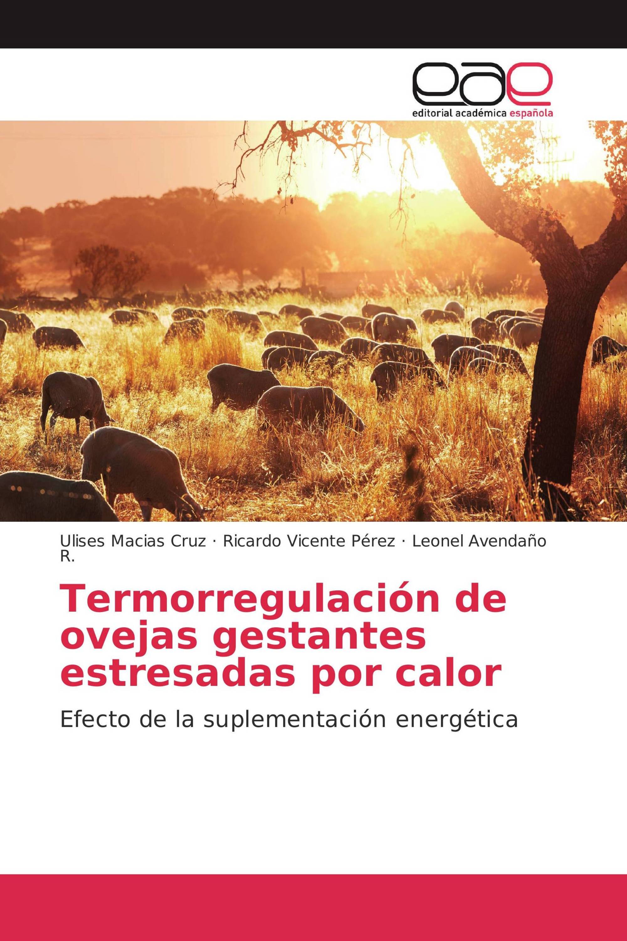 Termorregulación de ovejas gestantes estresadas por calor