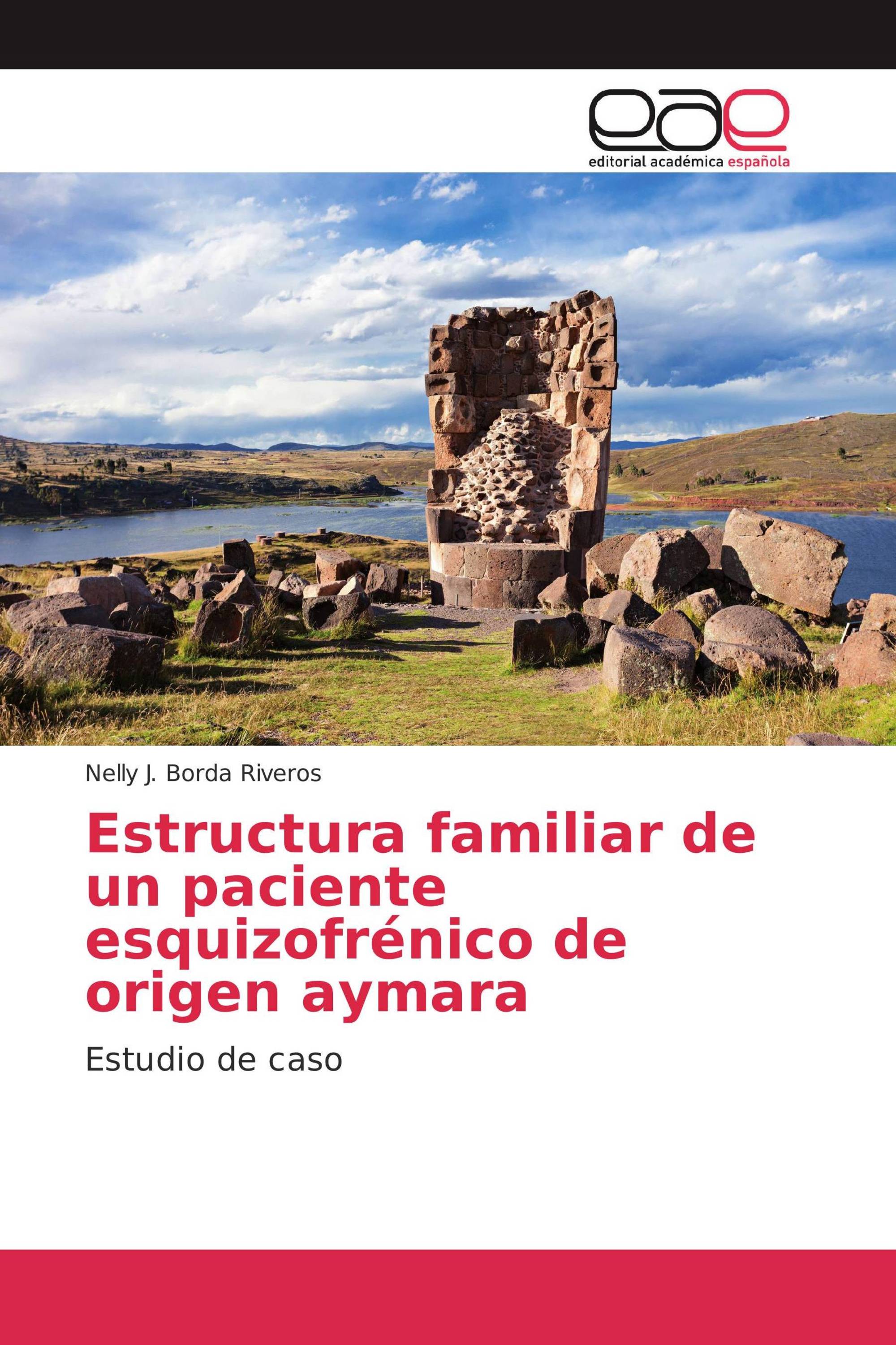 Estructura familiar de un paciente esquizofrénico de origen aymara