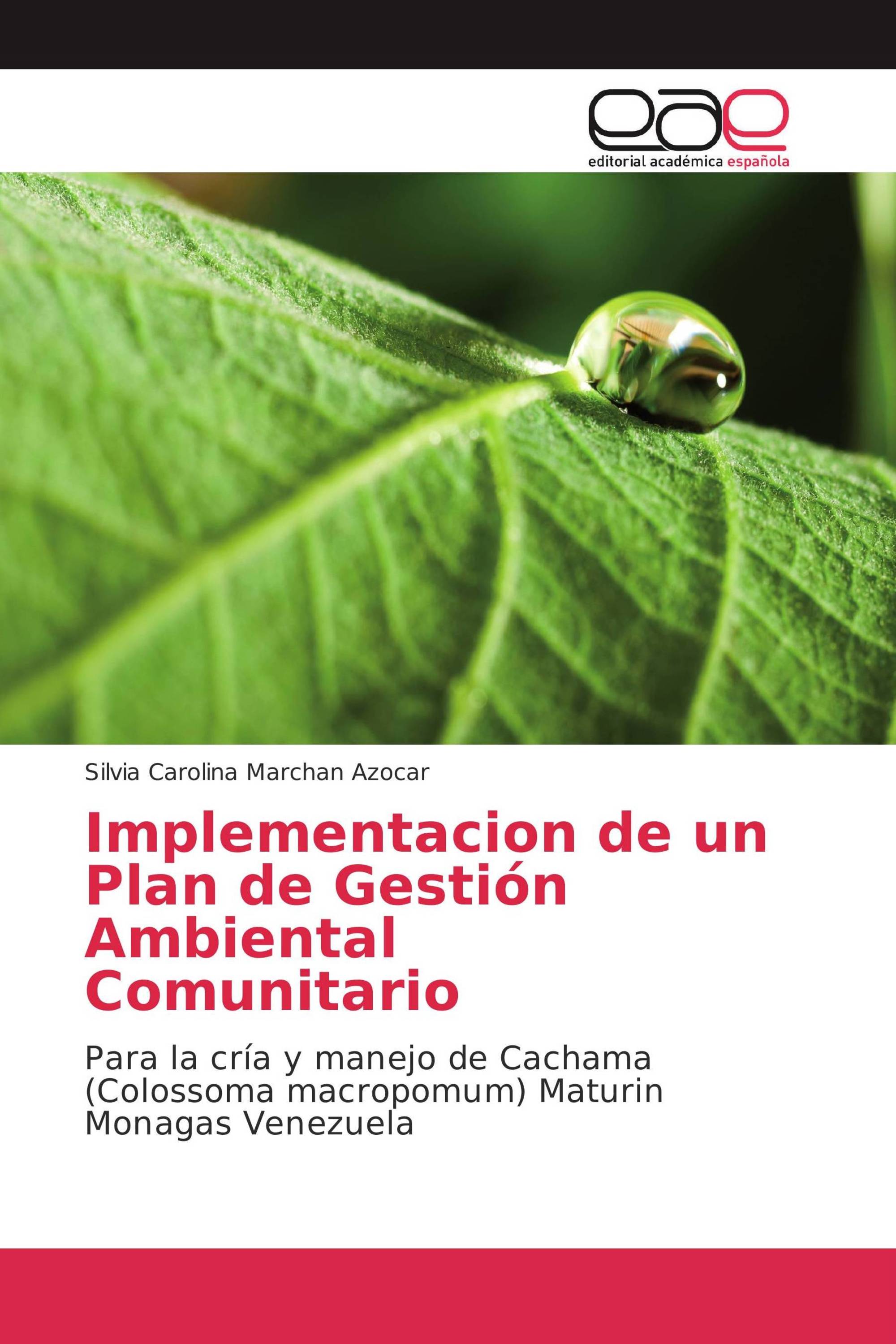 Implementacion de un Plan de Gestión Ambiental Comunitario