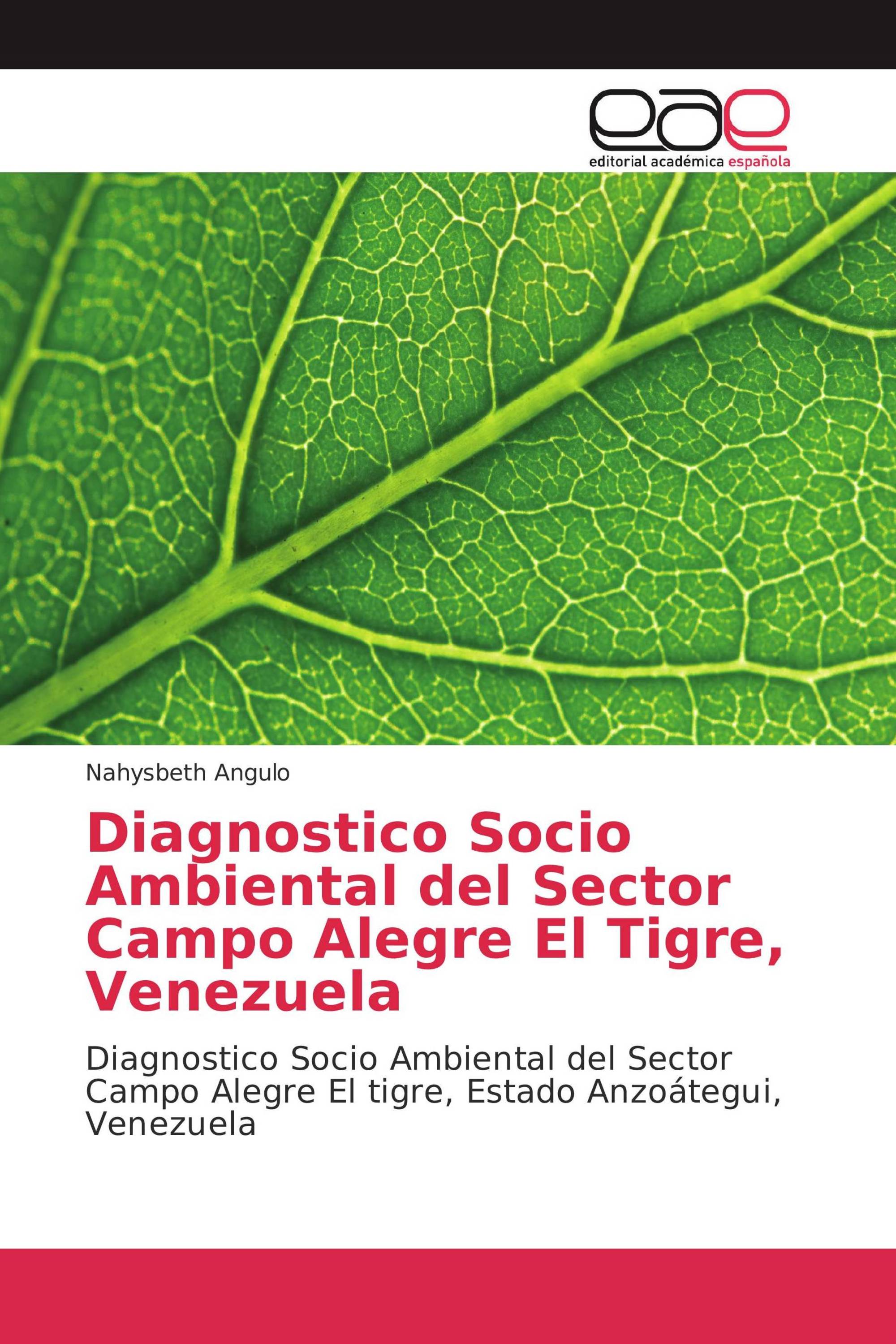 Diagnostico Socio Ambiental del Sector Campo Alegre El Tigre, Venezuela