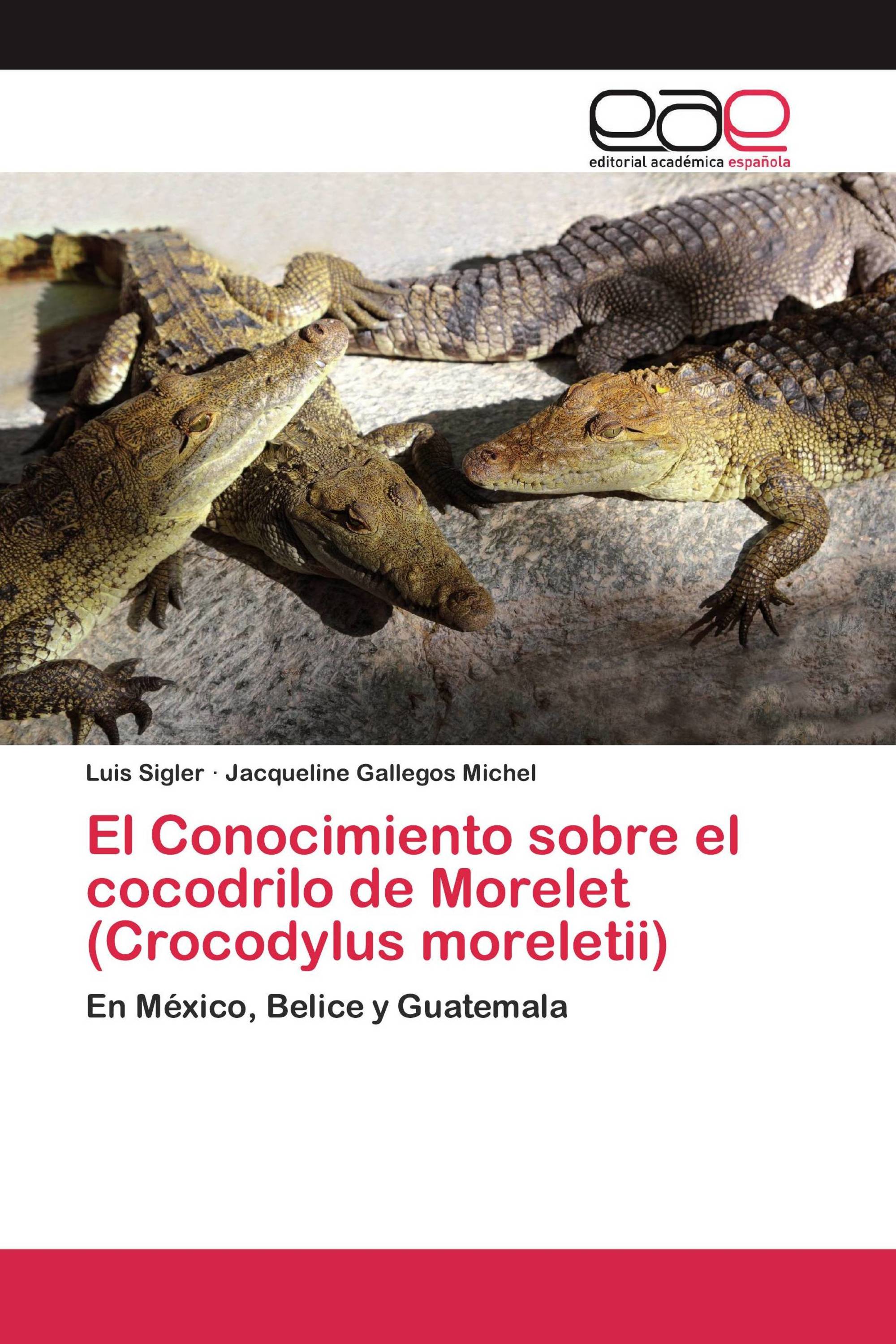 El Conocimiento sobre el cocodrilo de Morelet (Crocodylus moreletii) /  978-3-330-09582-3 / 9783330095823 / 3330095822