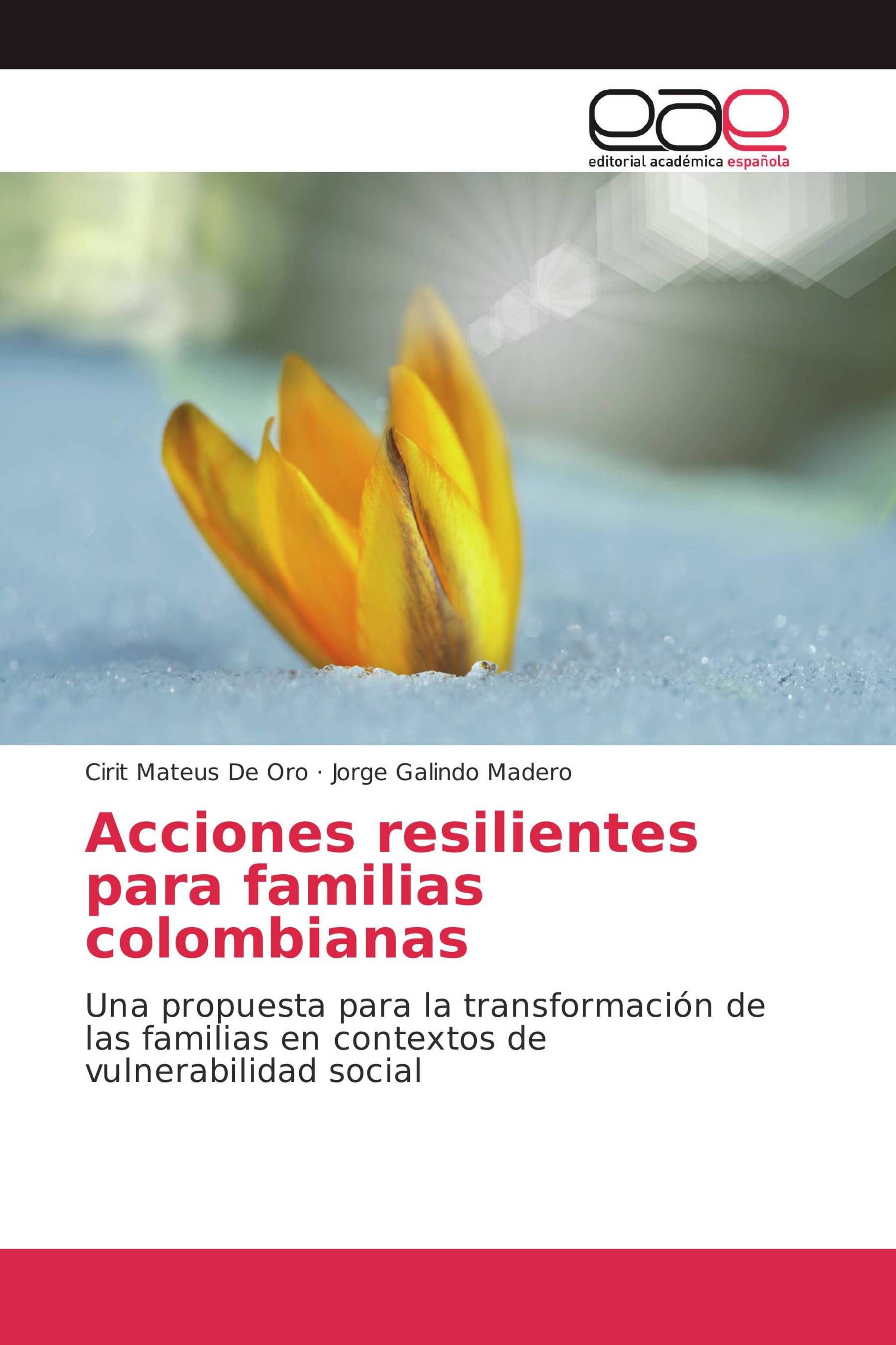 Acciones resilientes para familias colombianas