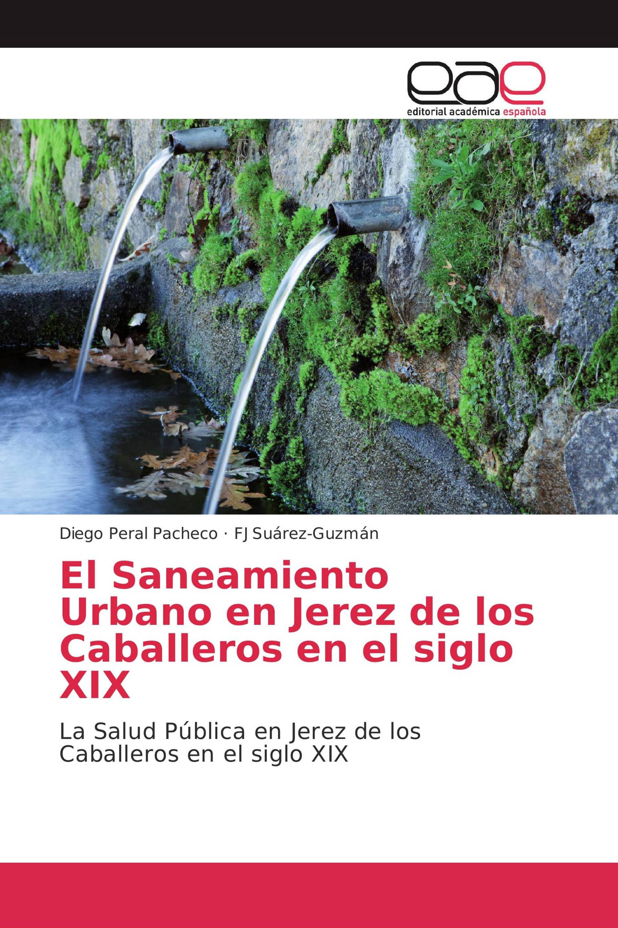 El Saneamiento Urbano en Jerez de los Caballeros en el siglo XIX