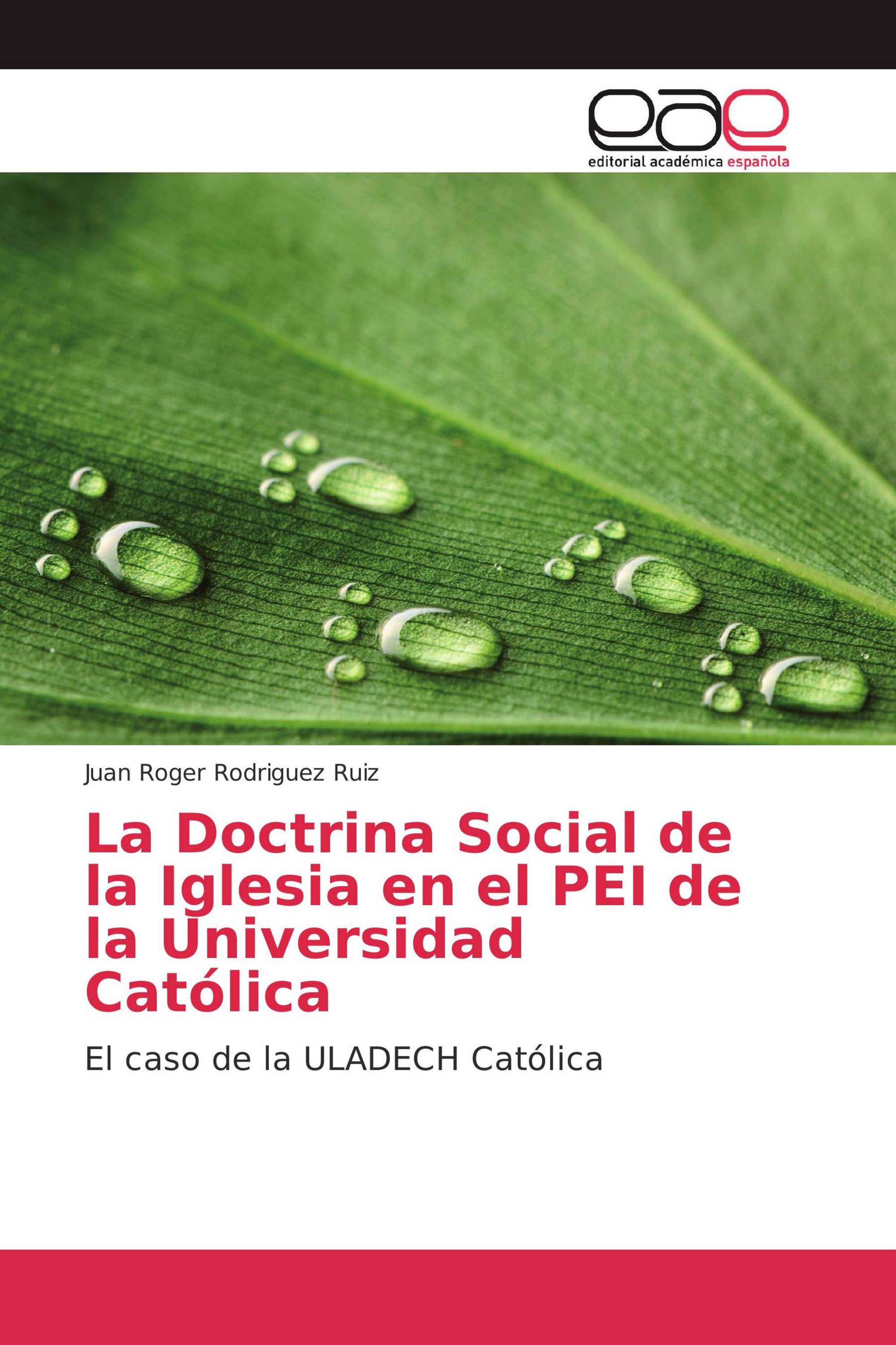 La Doctrina Social de la Iglesia en el PEI de la Universidad Católica