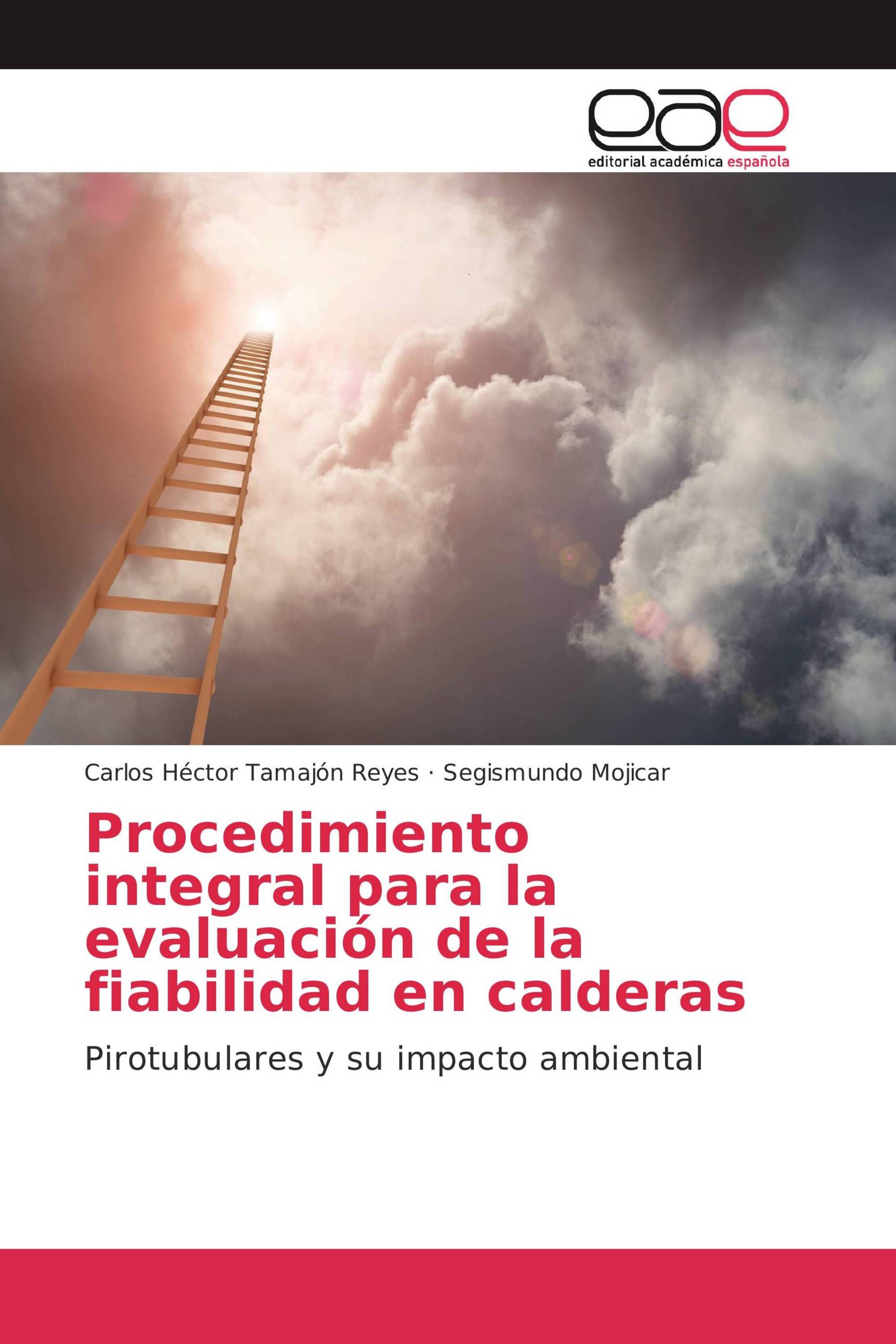 Procedimiento integral para la evaluación de la fiabilidad en calderas