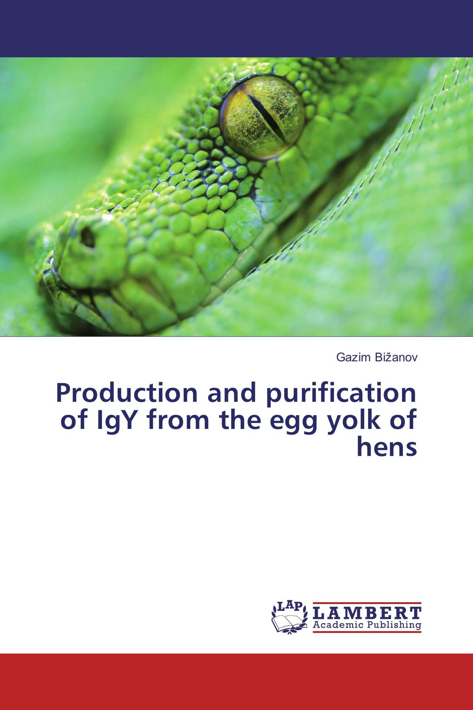 Production and purification of IgY from the egg yolk of hens