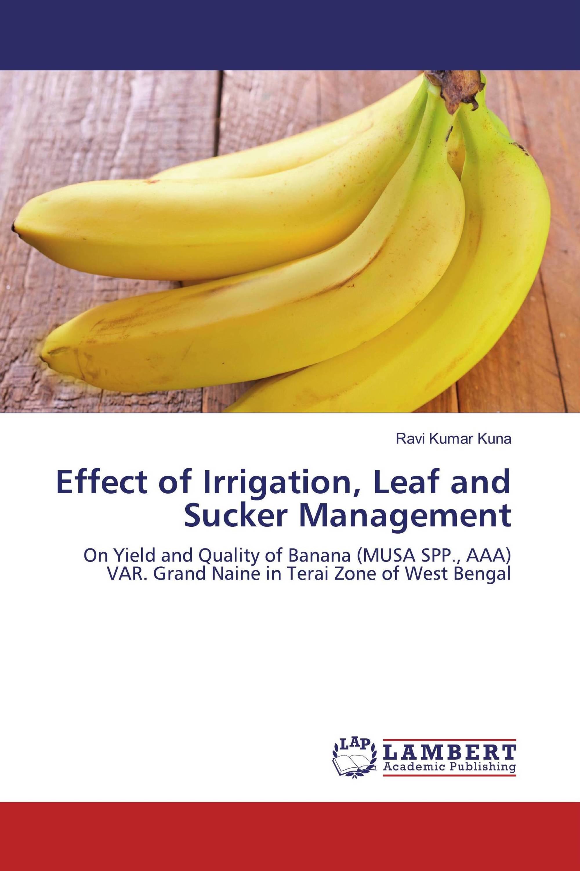 Effect of Irrigation, Leaf and Sucker Management