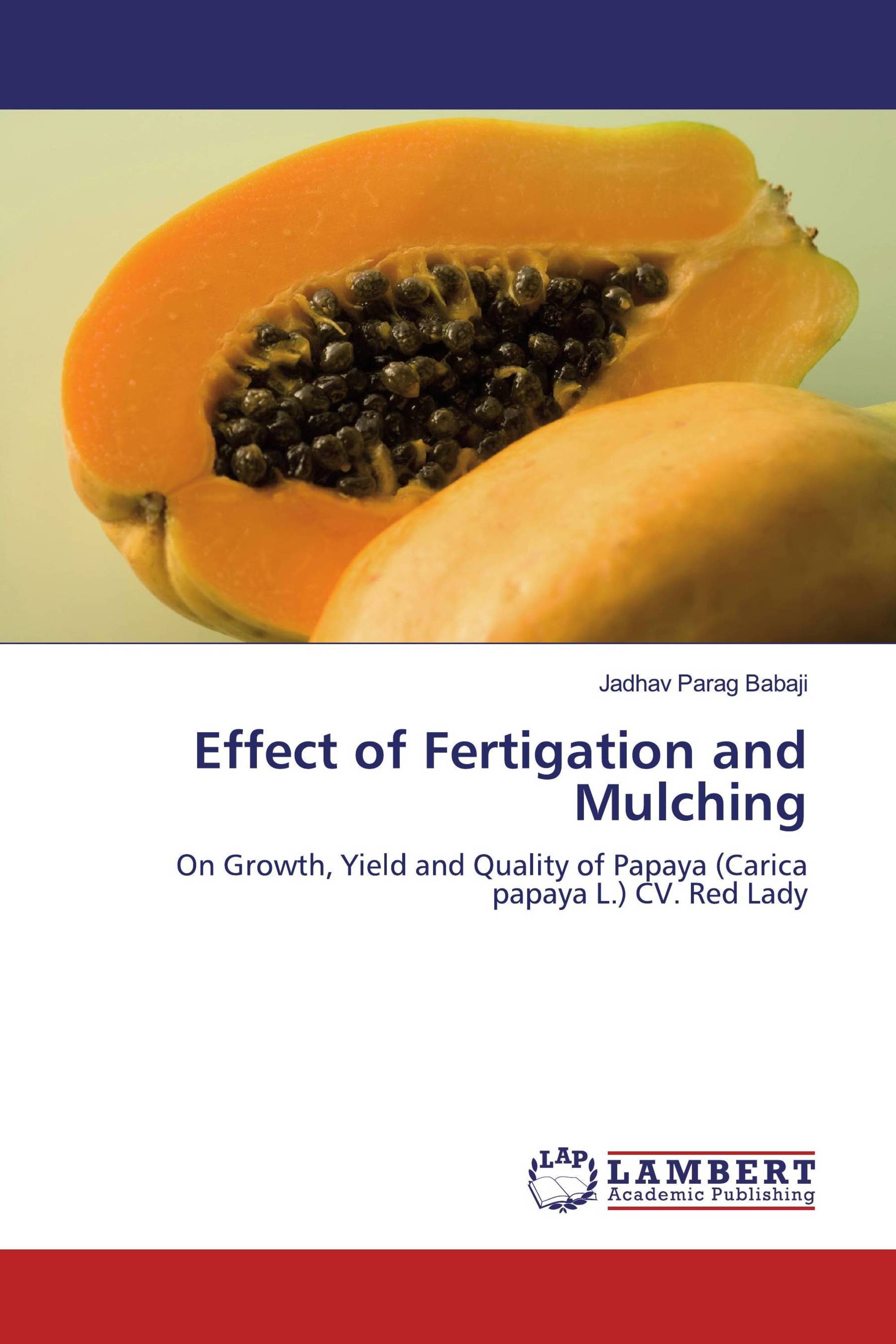 Effect of Fertigation and Mulching