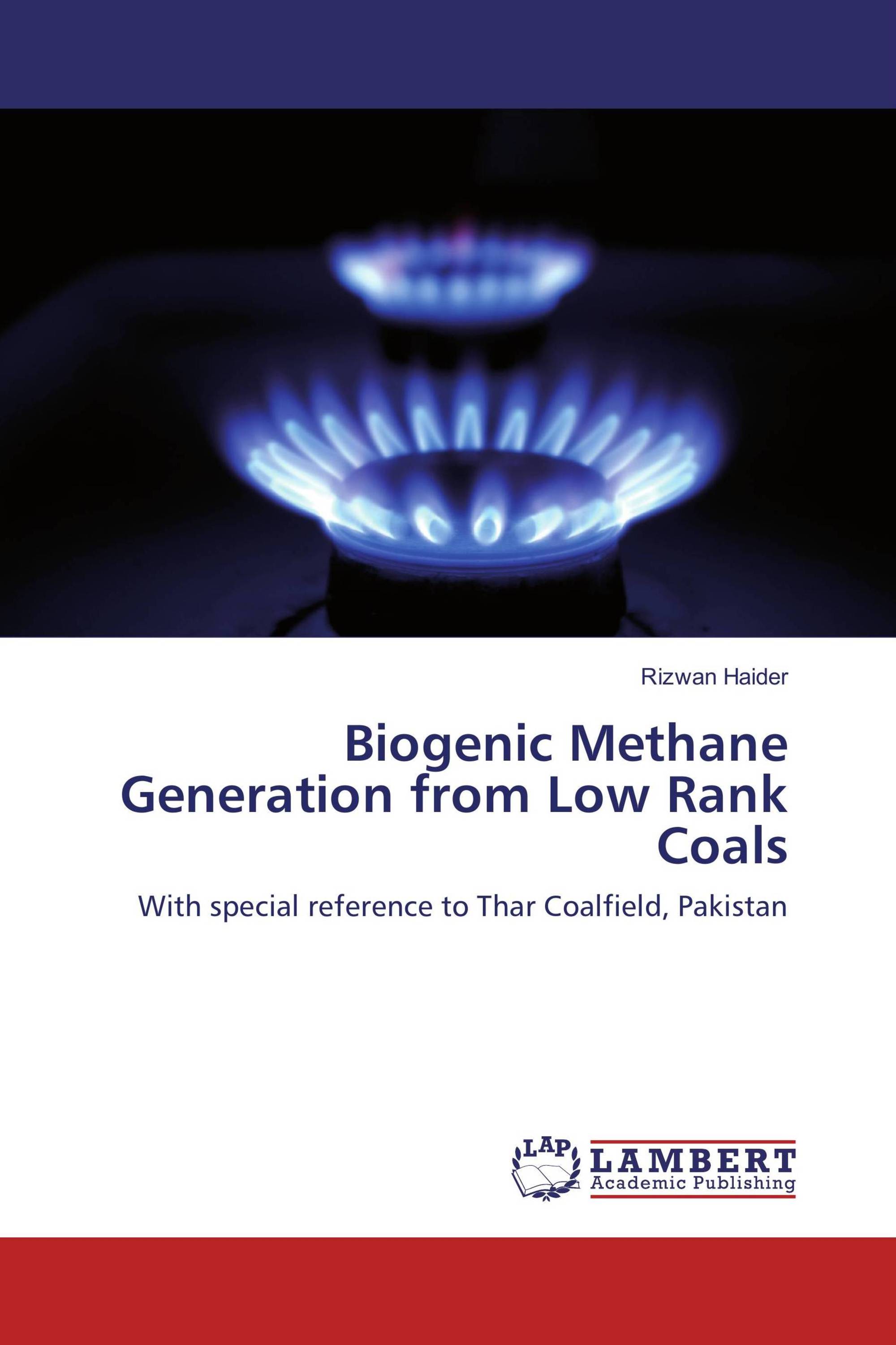 Biogenic Methane Generation from Low Rank Coals / 978-3 ...