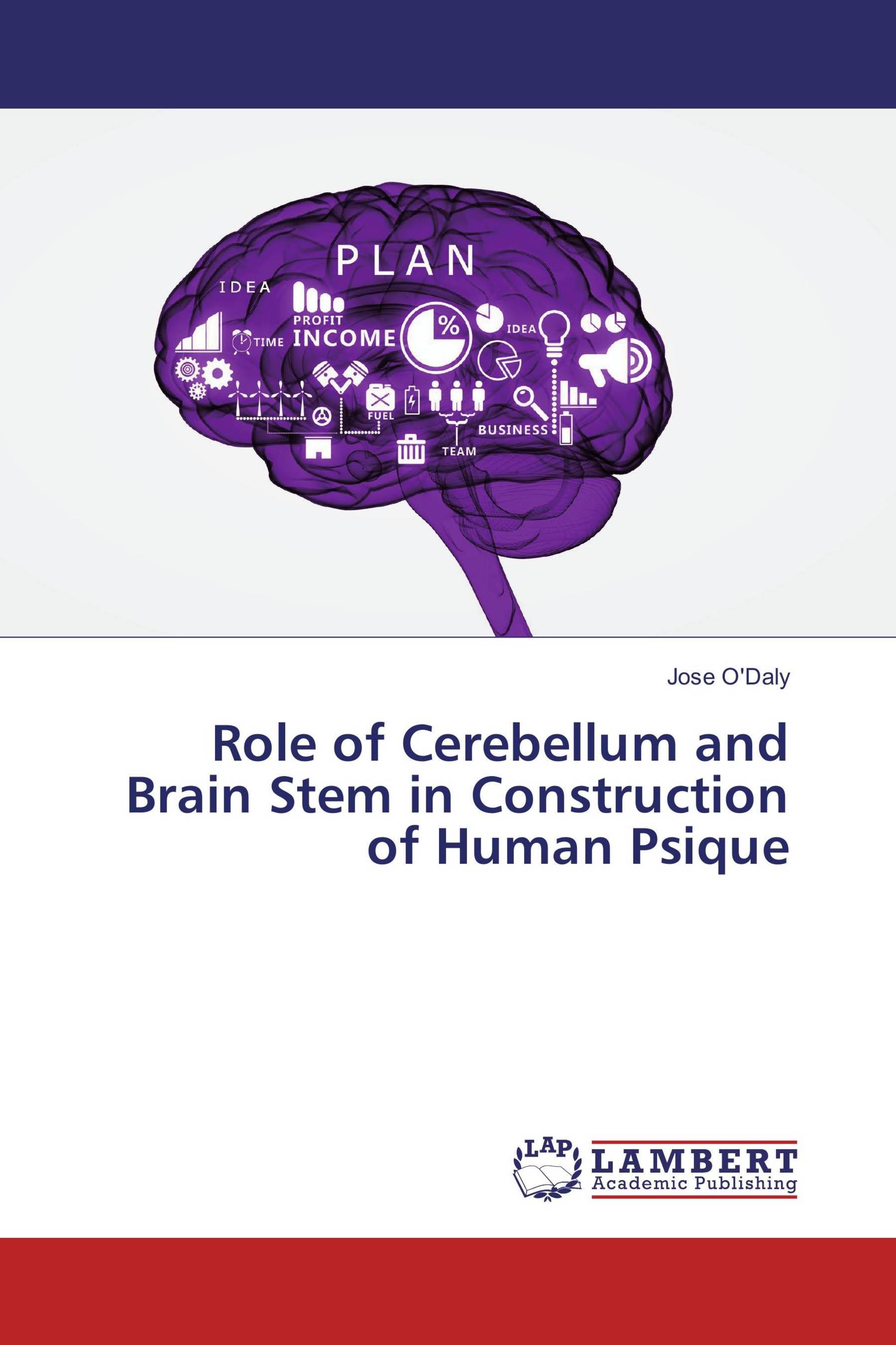 Role of Cerebellum and Brain Stem in Construction of Human Psique